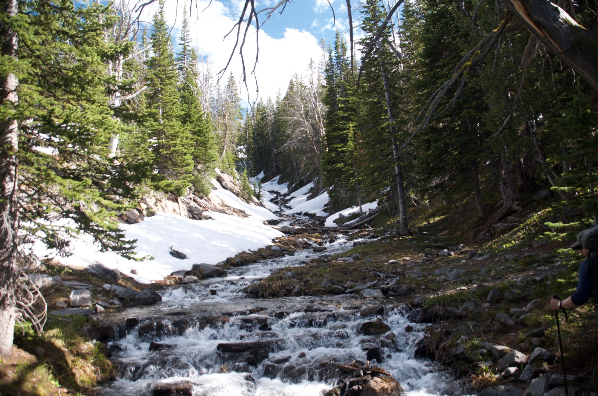 Creek cascading through snowy landscape with evergreen trees