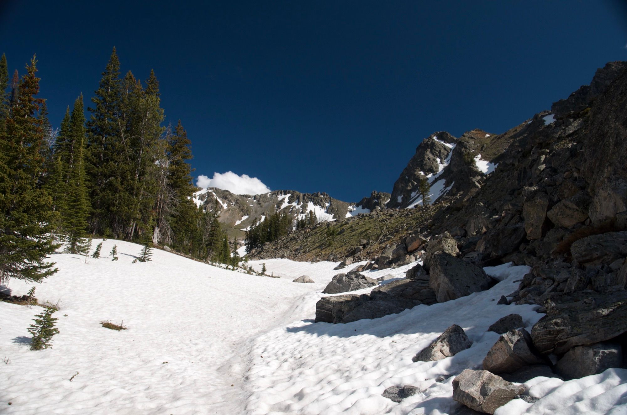 Snow-covered approach to Spanish Lakes basin with trees and peaks