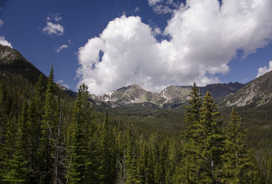 Snow-capped Tobacco Root peaks with dense evergreen forest valley below