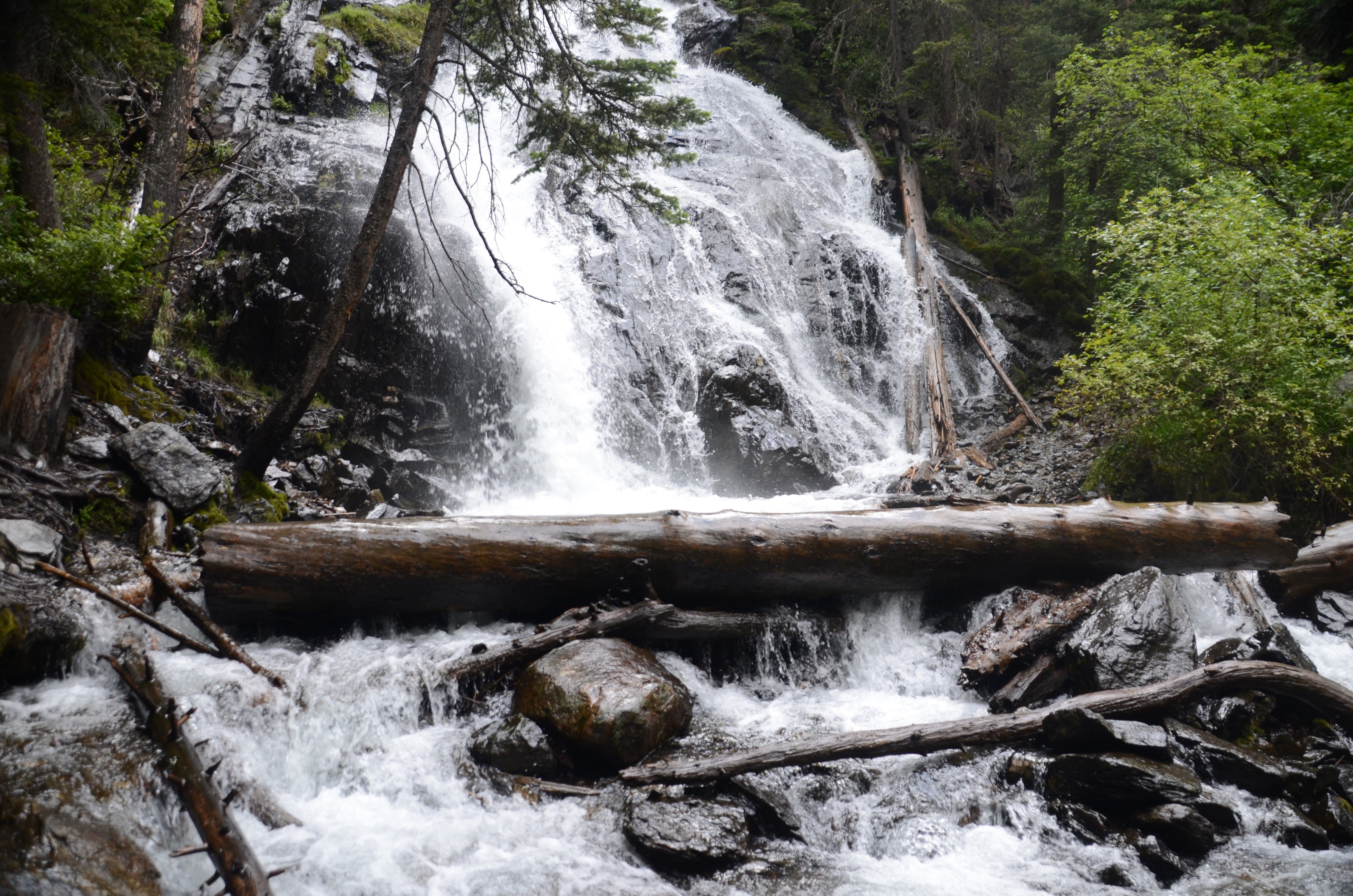 Pine Creek Falls up close with powerful water cascading over rocks