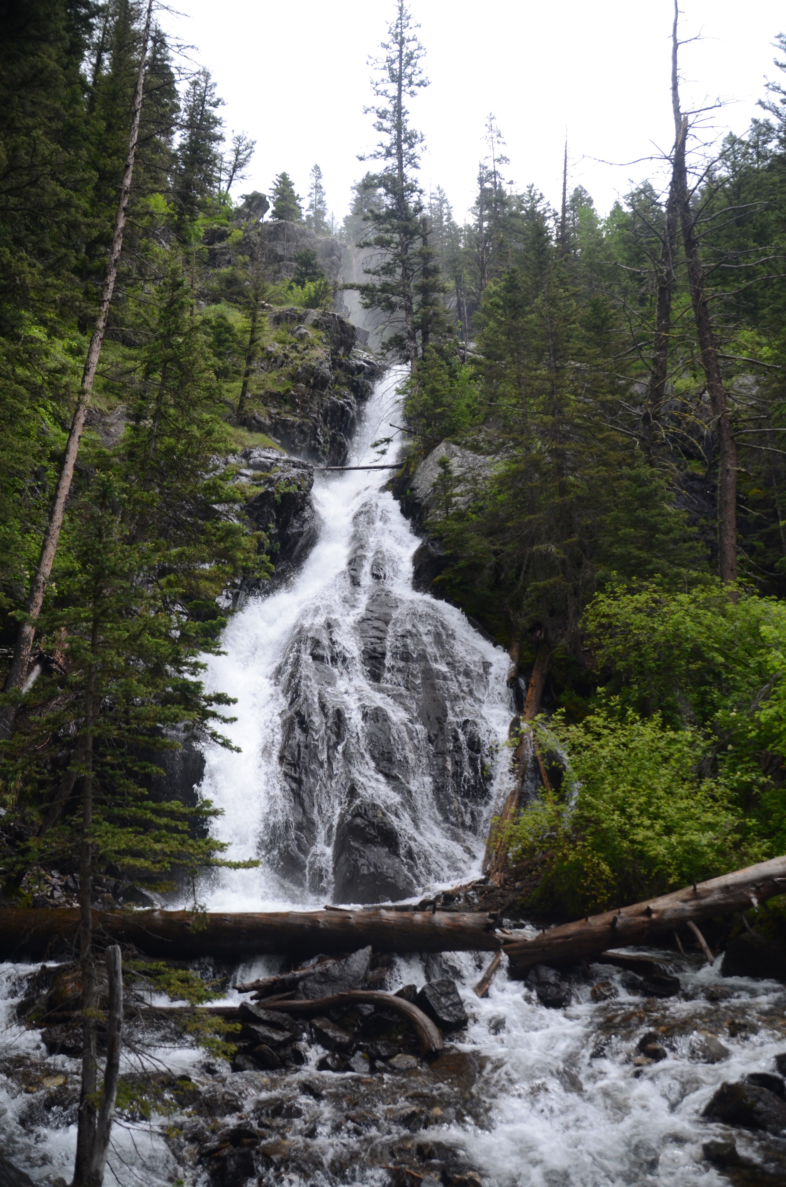 Pine Creek Falls viewed from a distance through the trees