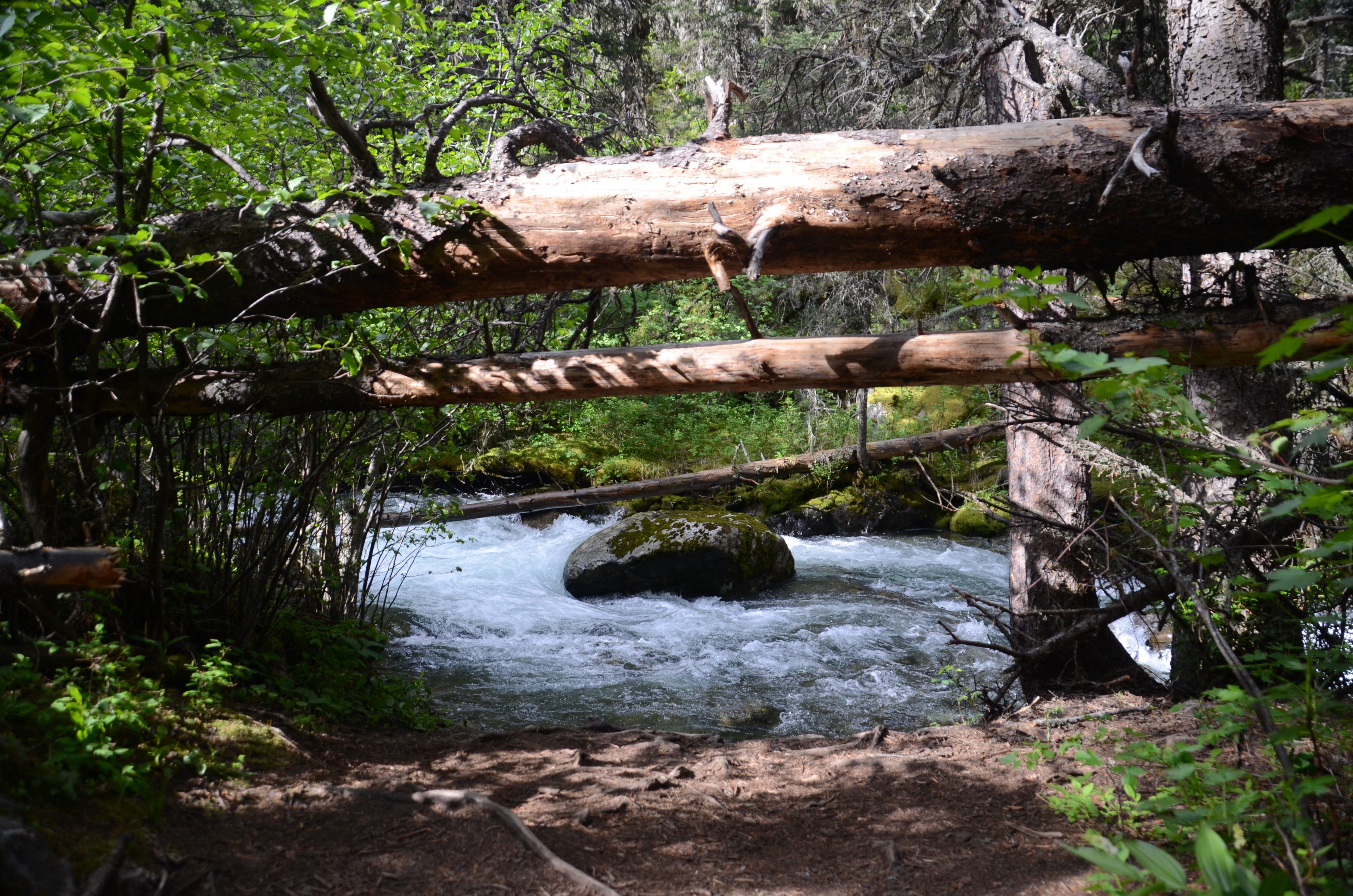 Pine Creek Falls visible through trees with mist rising