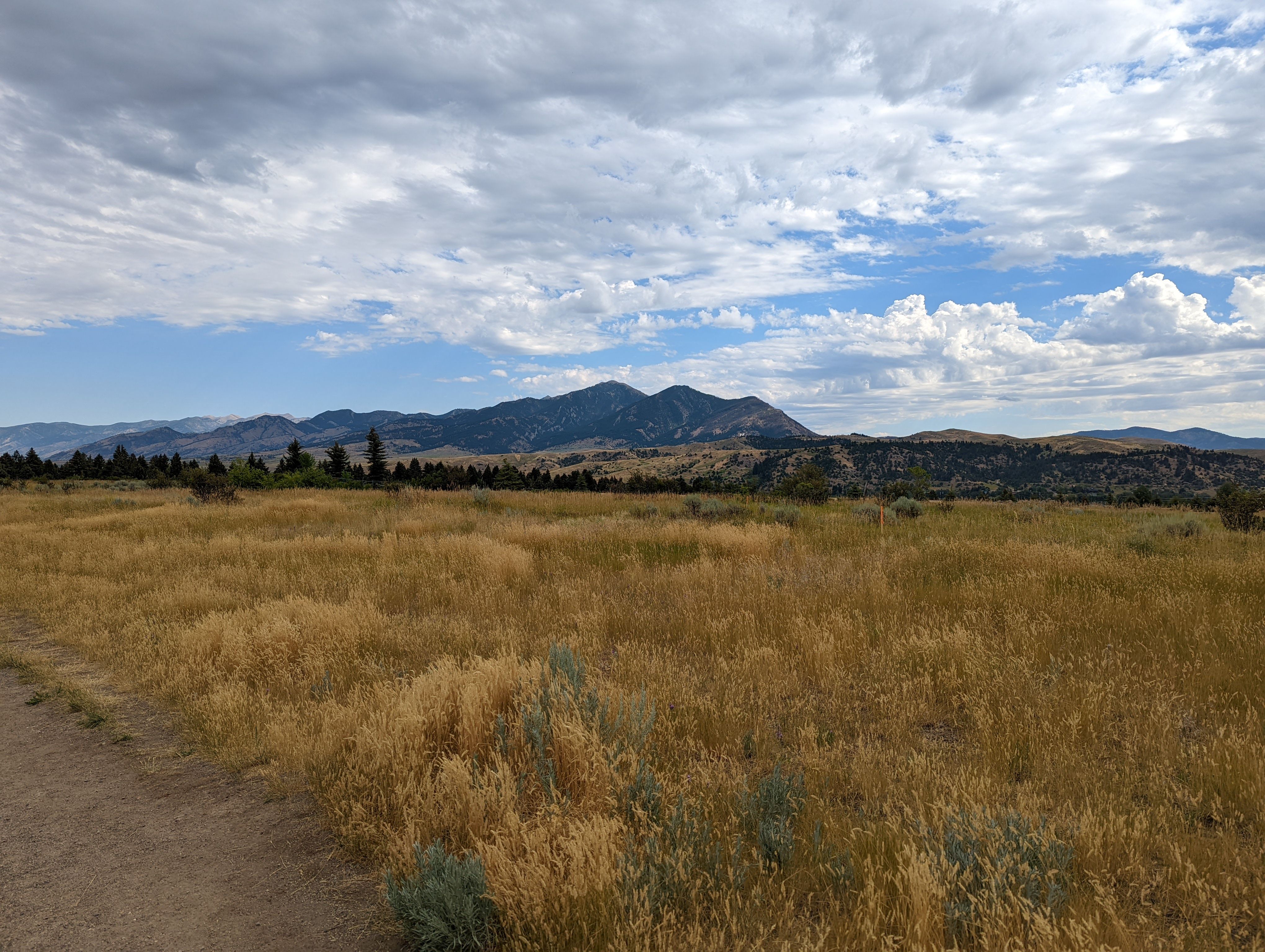 Narrow trail through dry golden grass at the edge of Peets Hill with the Gallatin Range under dramatic clouds