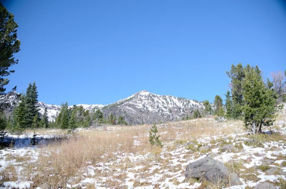 Alpine meadow with light snow and distant snow-covered mountain summit