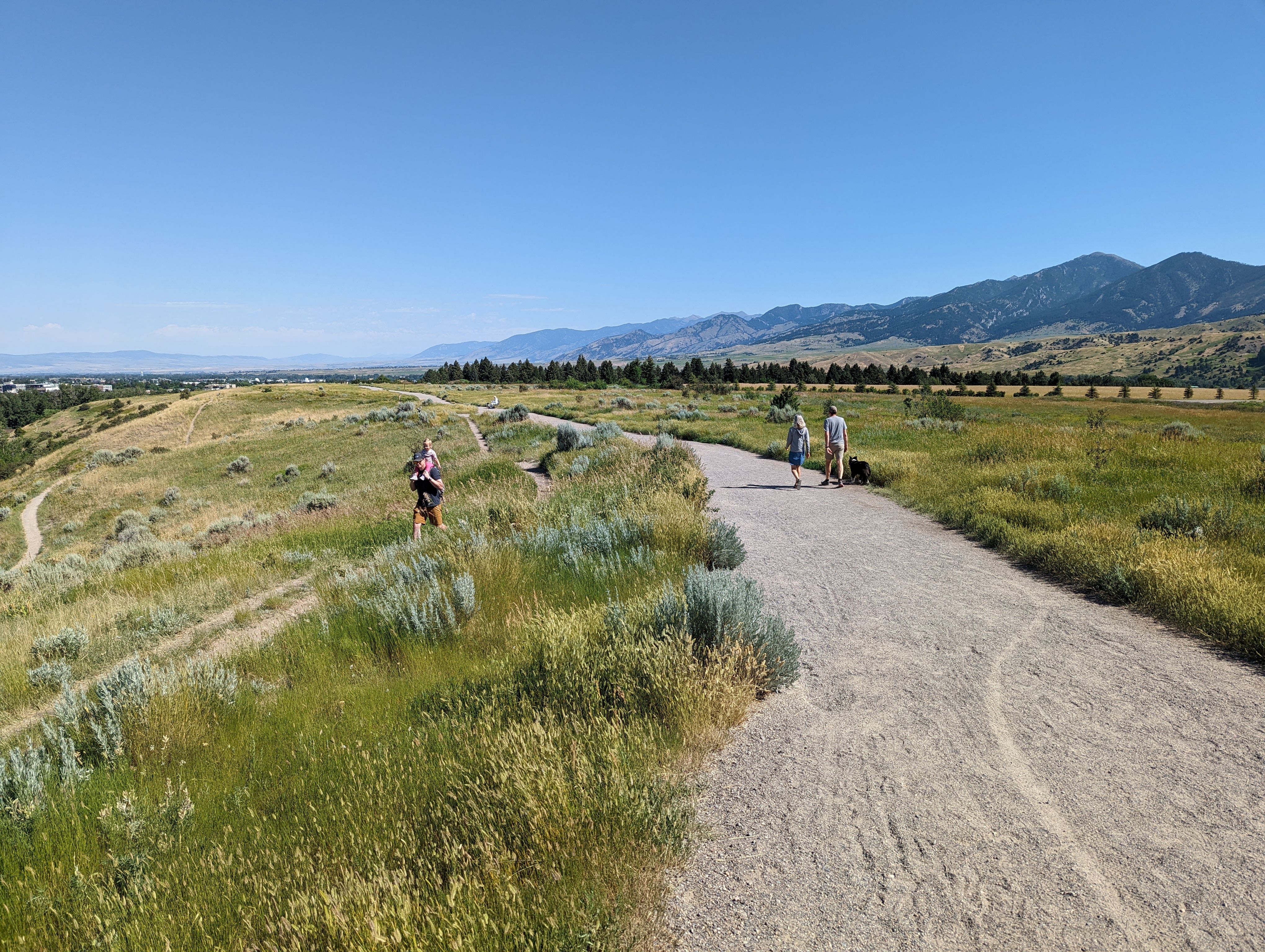 Wide gravel trail on the Burke Park ridge with hikers and a dog walking under a clear blue summer sky