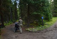 Featured image for Accessible Hiking in Gallatin National Forest: What's Actually Out There