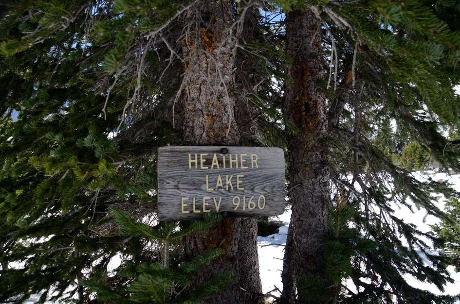 Wooden Heather Lake sign showing elevation 9160 feet nailed to pine tree