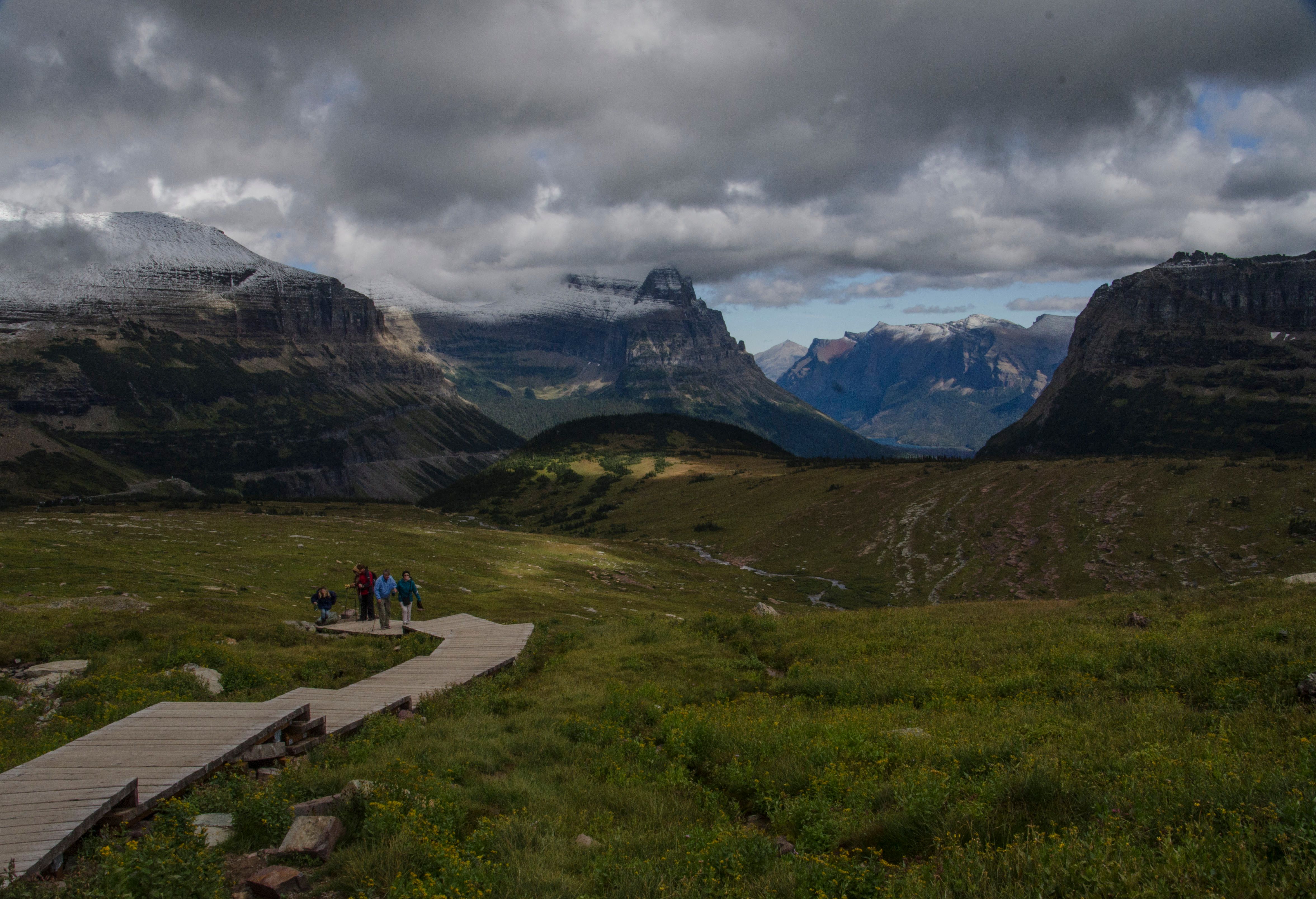 Boardwalk with hikers crossing alpine meadow with wildflowers and mountain backdrop