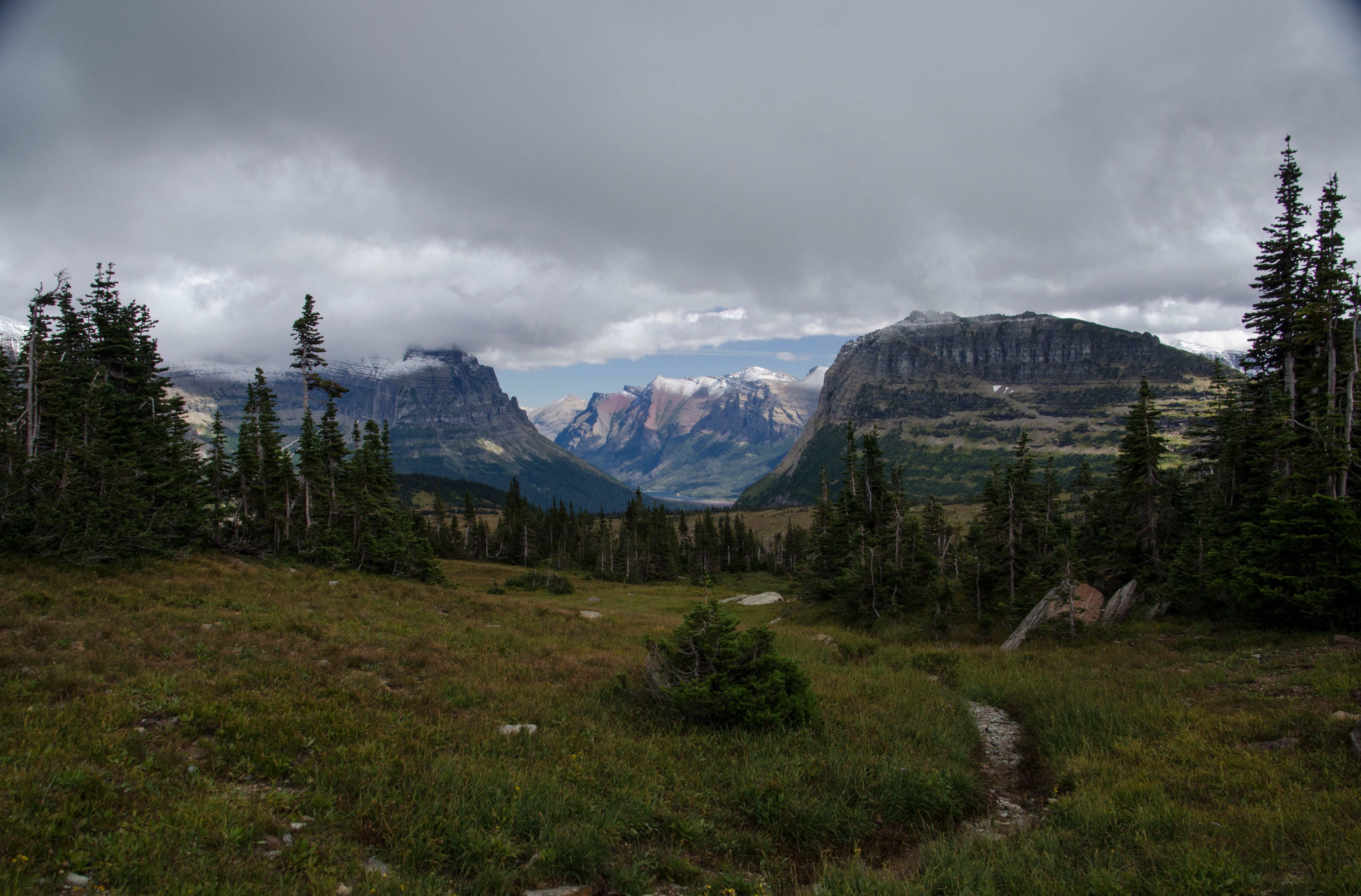 Trail winding through sparse evergreens with cloudy peaks in background