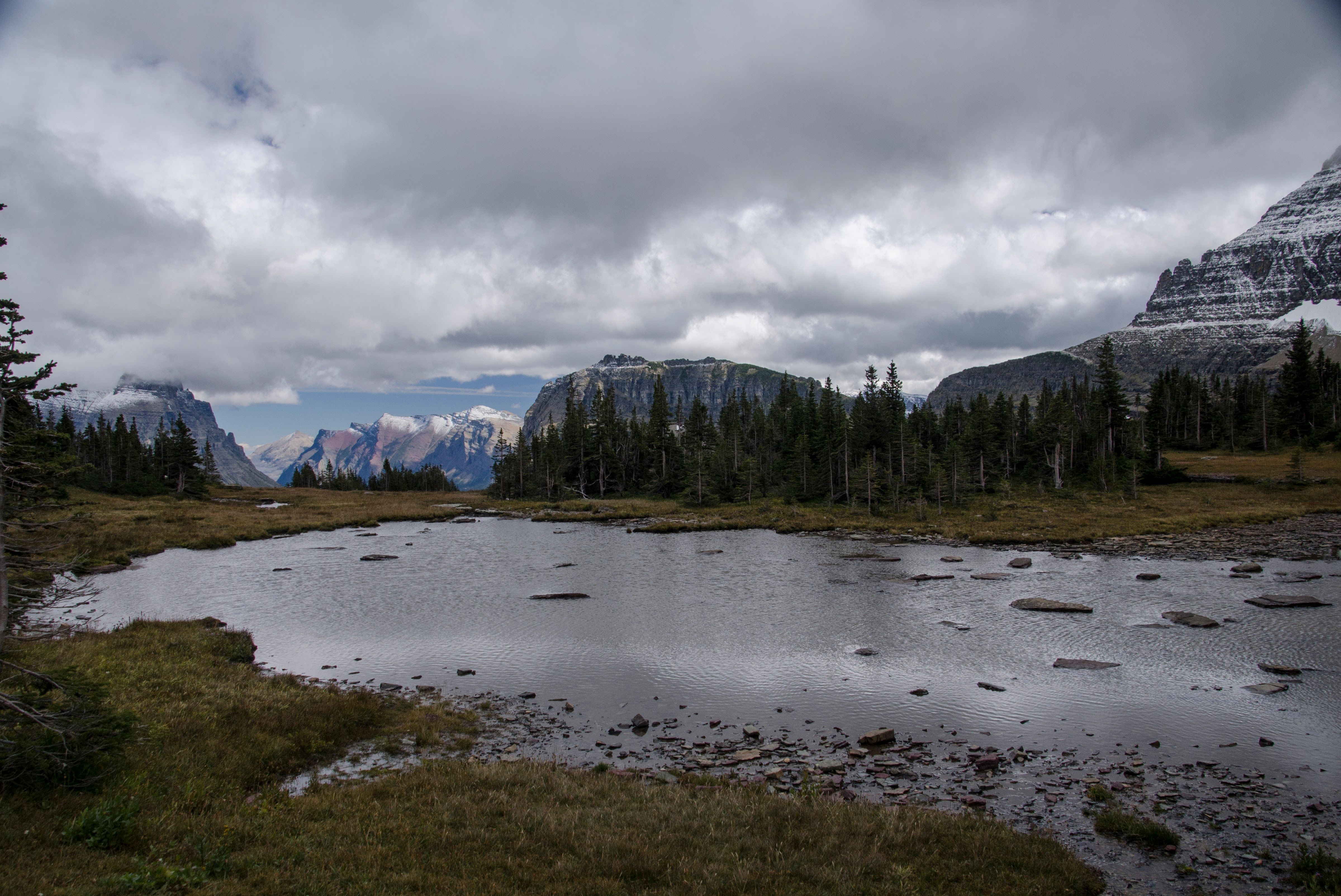 Small alpine tarn reflecting clouds with mountains and trees beyond