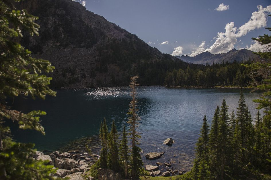 Louise Lake with deep blue-green water framed by spruce trees and rocky peaks
