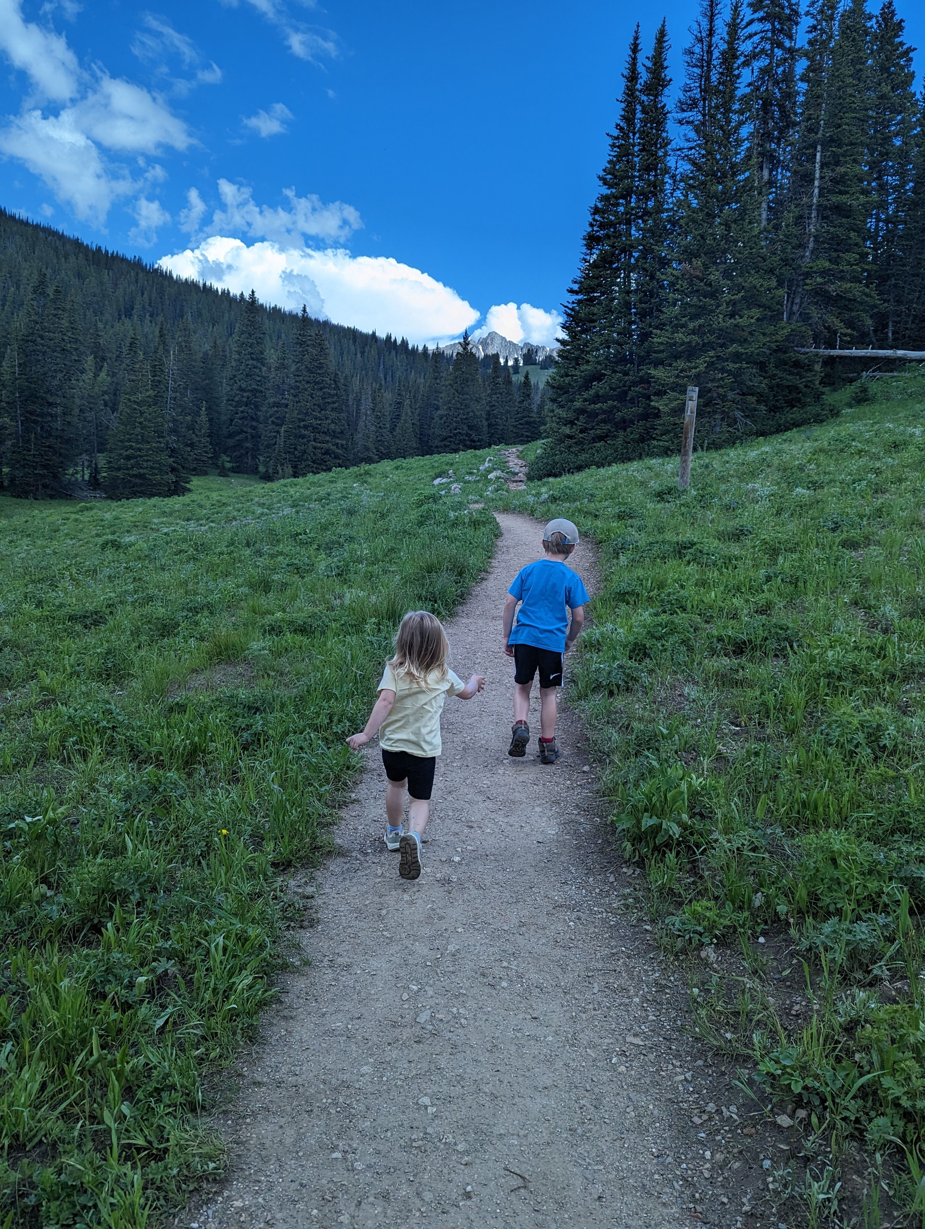 Kids hiking a trail through green meadows with evergreen forest ahead