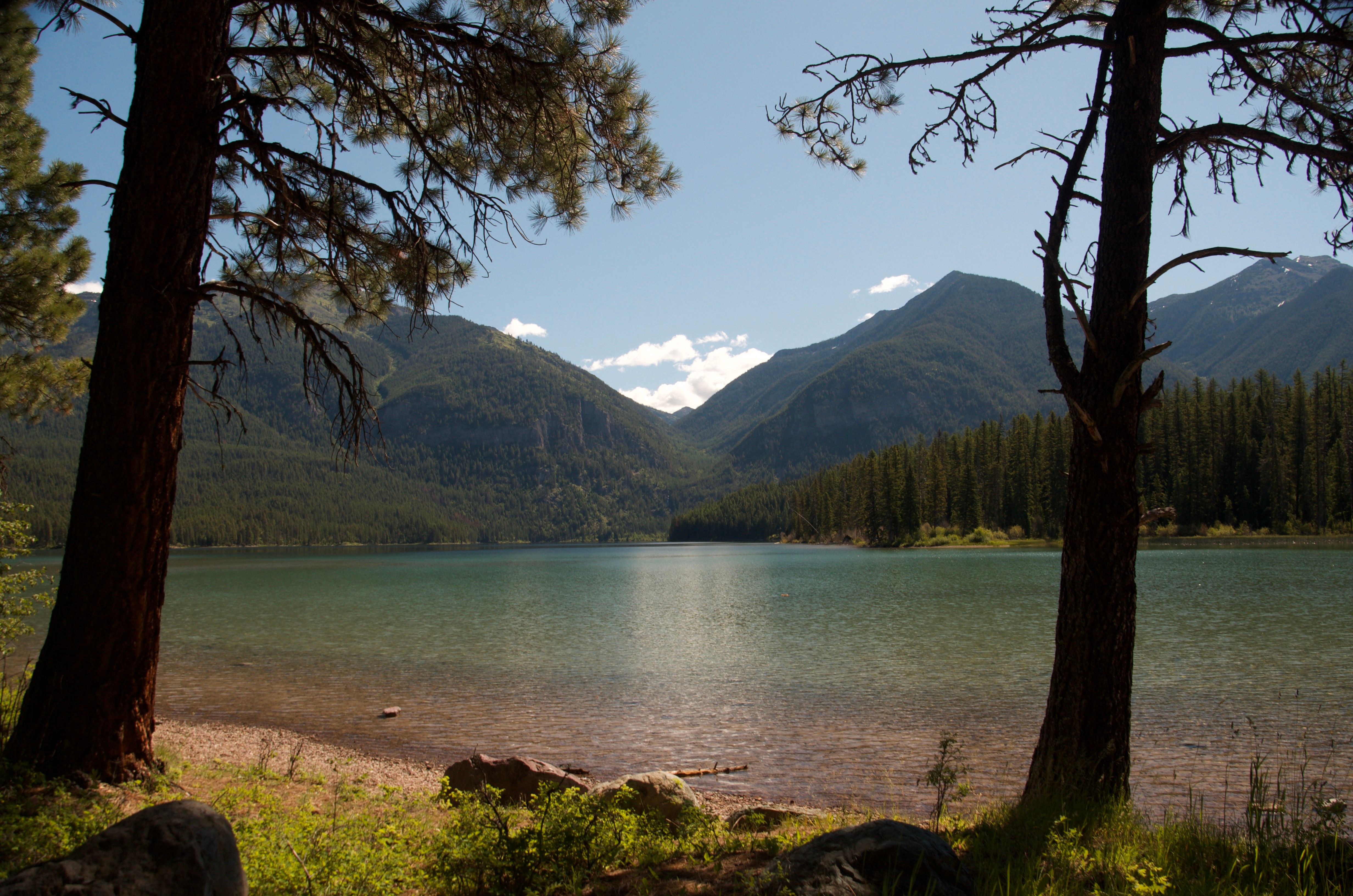 Holland Lake framed between two large ponderosa pine trunks with mountains behind