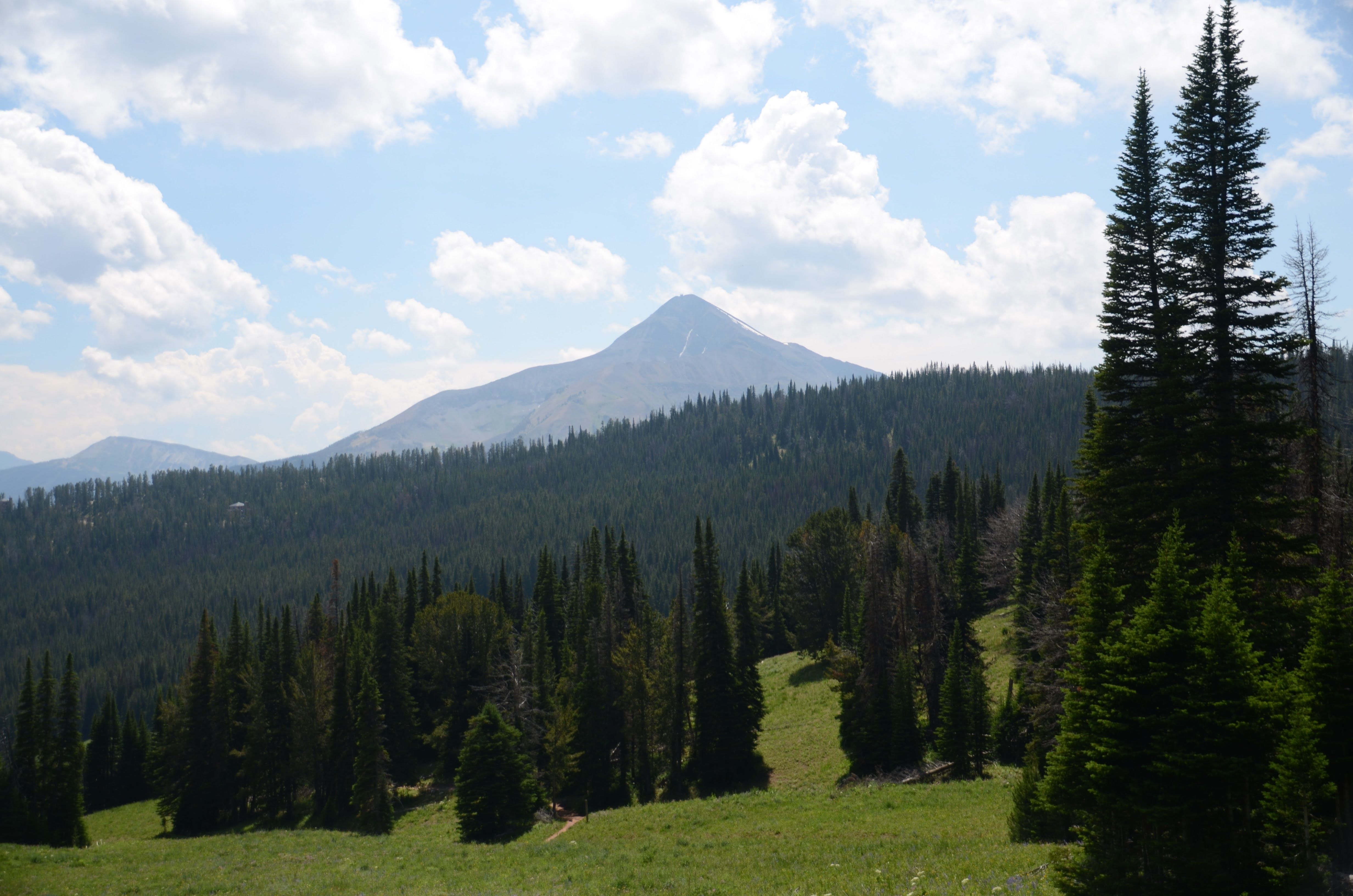 View of Lone Peak across green meadows and pine forests