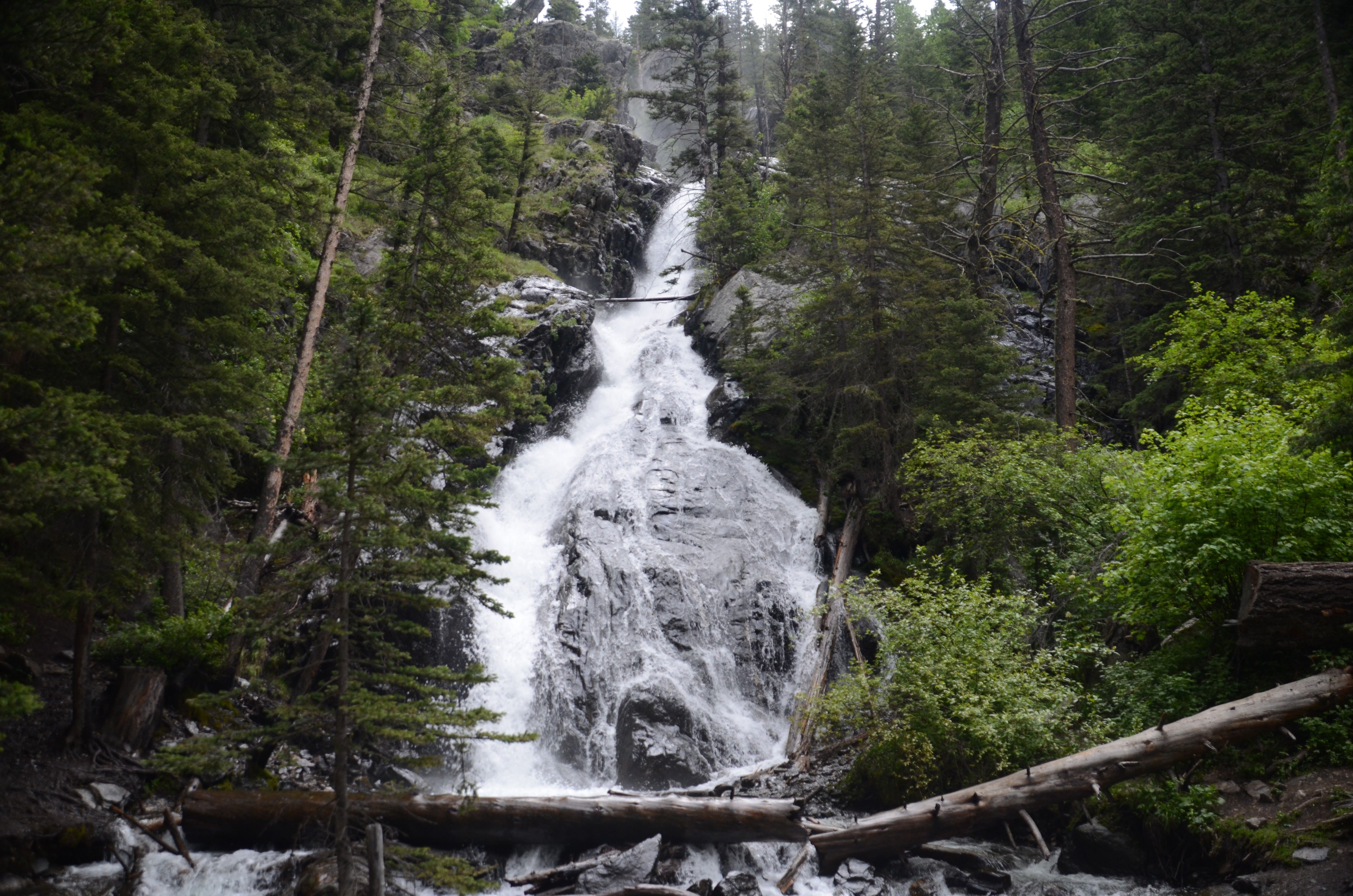 Pine Creek Falls cascading down tiered rock face through evergreen forest