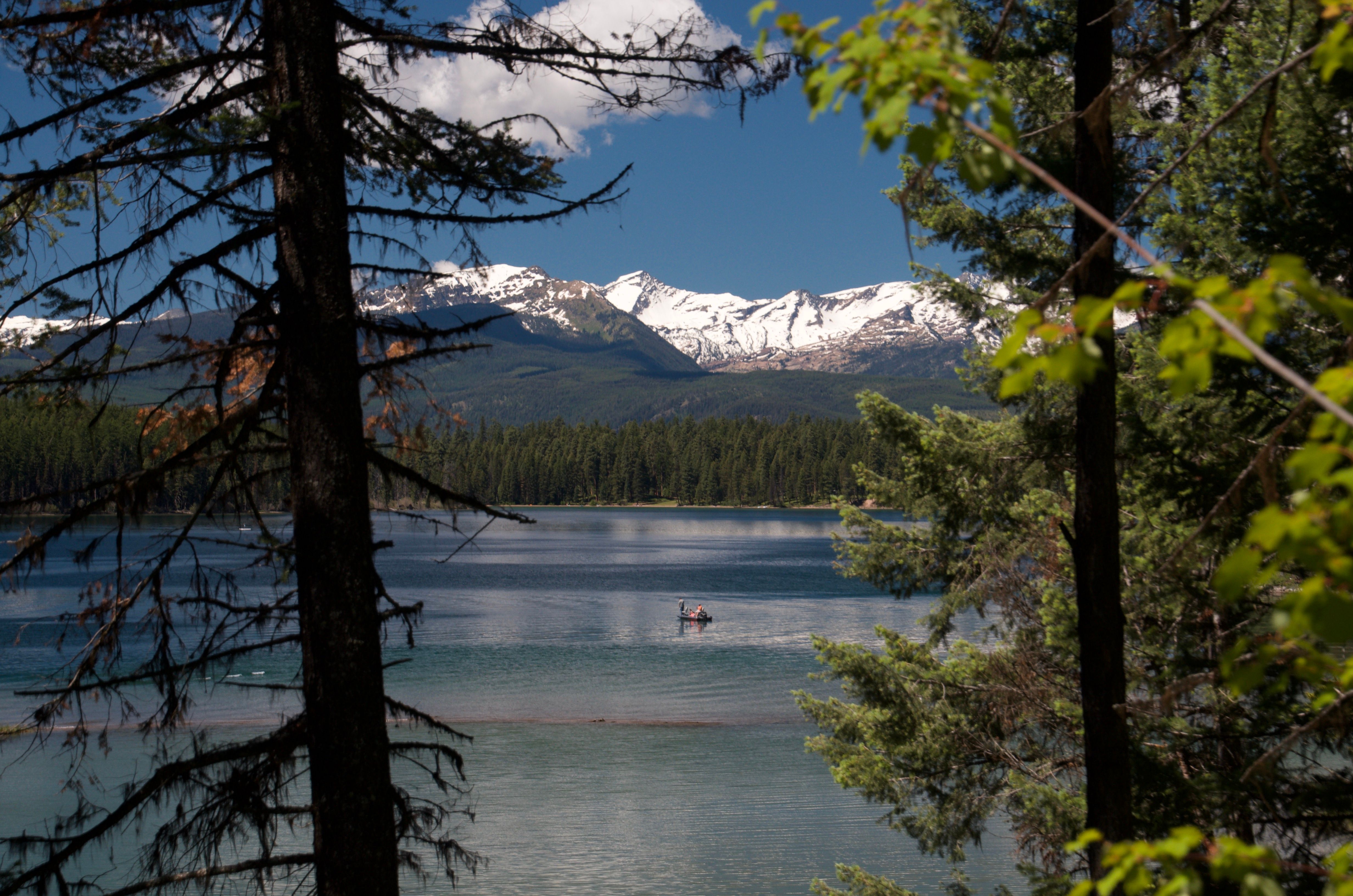 Holland Lake with a canoe on the water and snow-capped Mission Mountains framed through pine trees