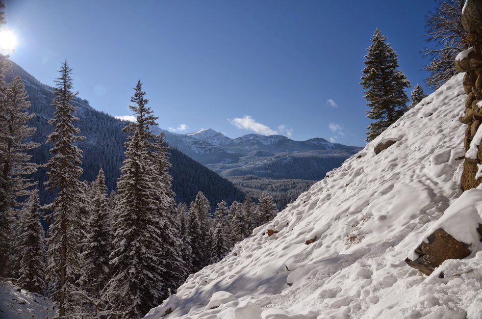 Snowy mountain view from trail with pine trees and rocky cliff