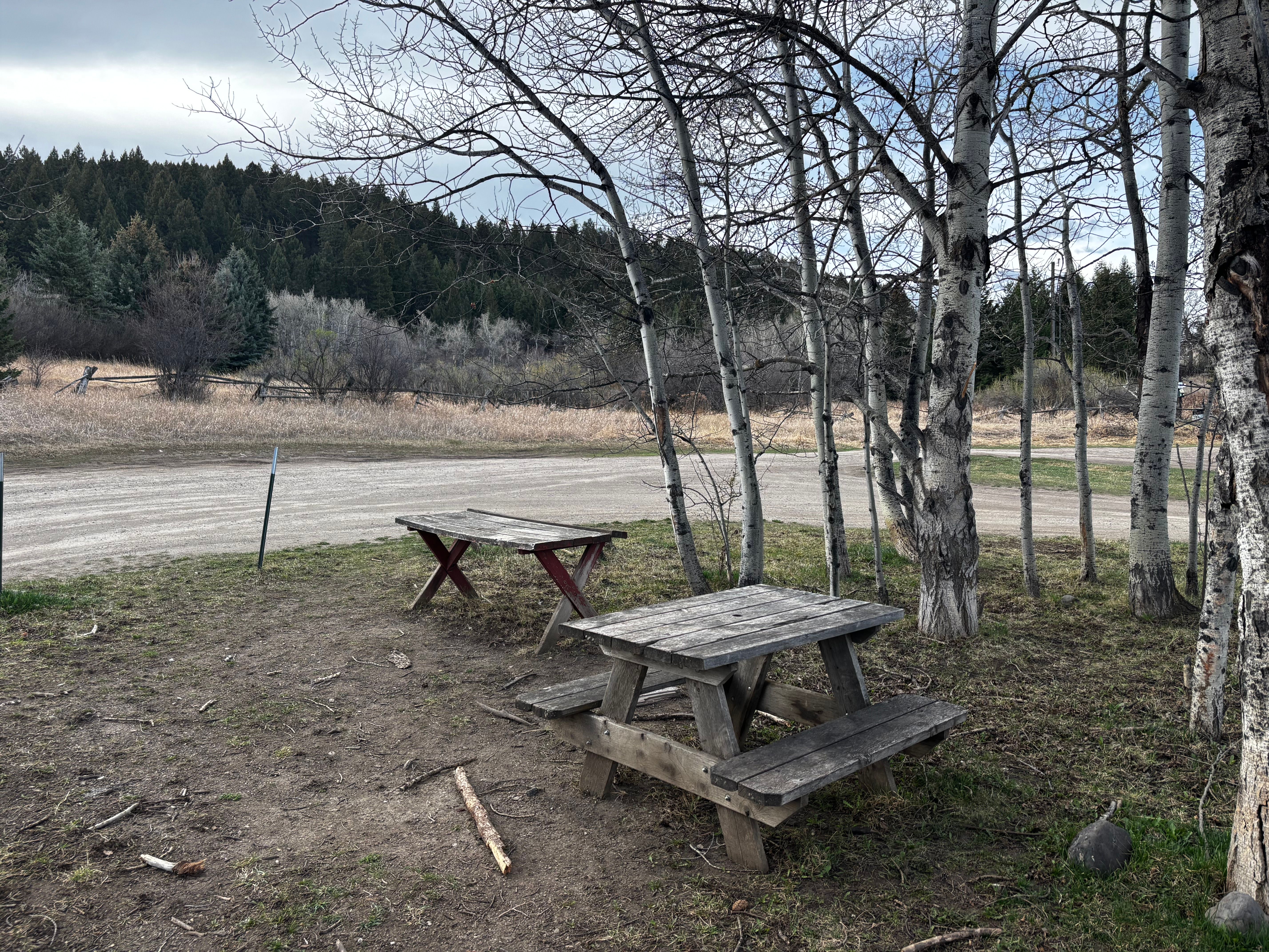 Picnic tables at the Kirk Hill Natural Area trailhead under bare aspen trees