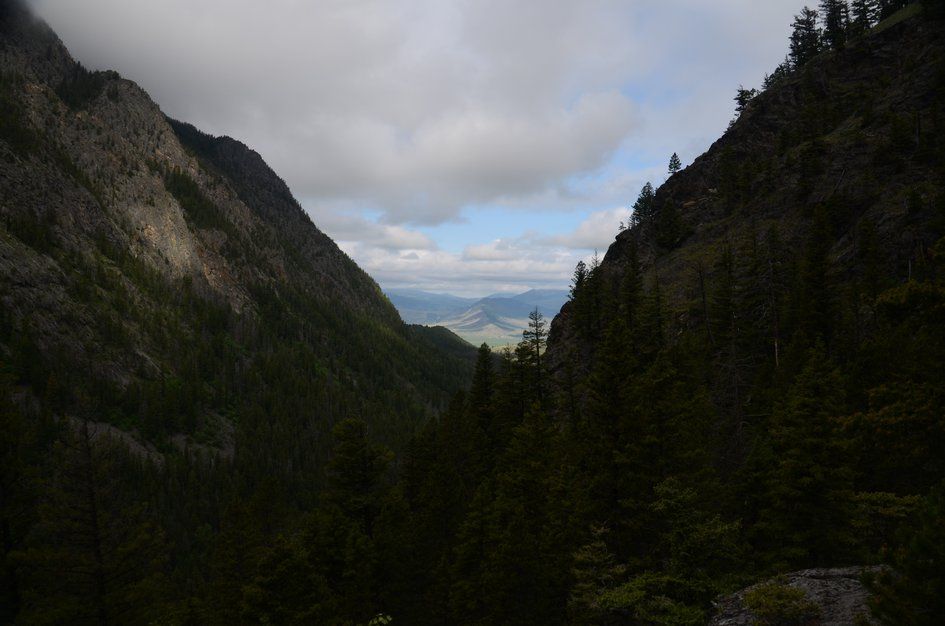 Deep forested valley view with Paradise Valley visible through steep mountain walls