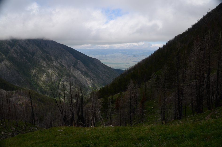 View down Pine Creek valley with burned forest and Paradise Valley beyond