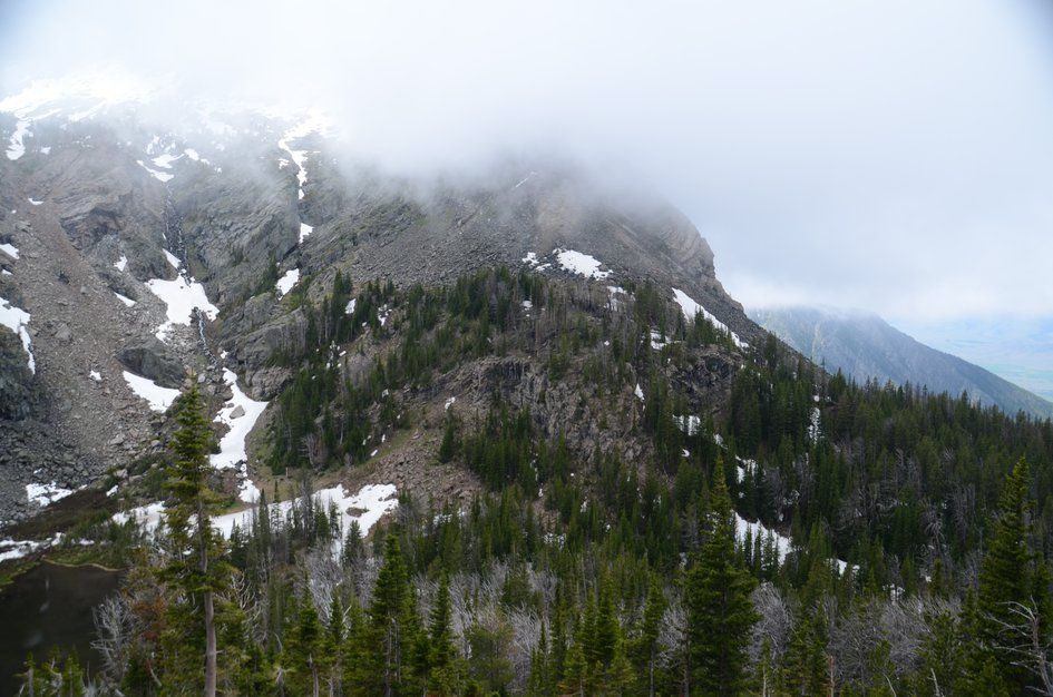 Forested ridge with scattered pines and snow patches beneath cloud-wrapped summit