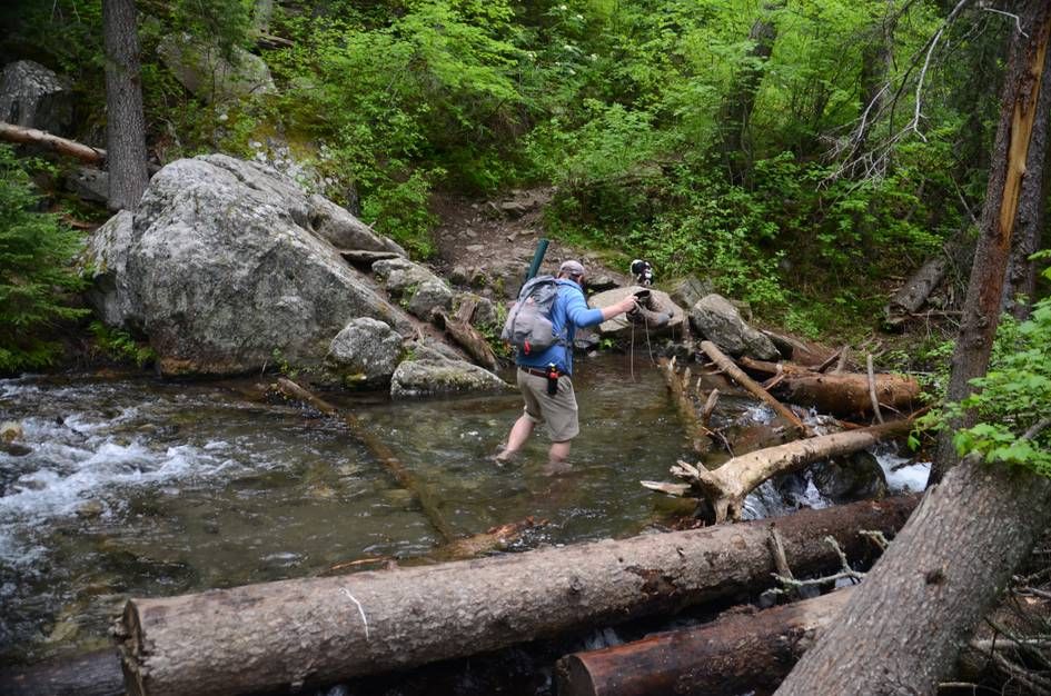 Backpacker wading through knee-deep creek crossing with dog waiting on rocks