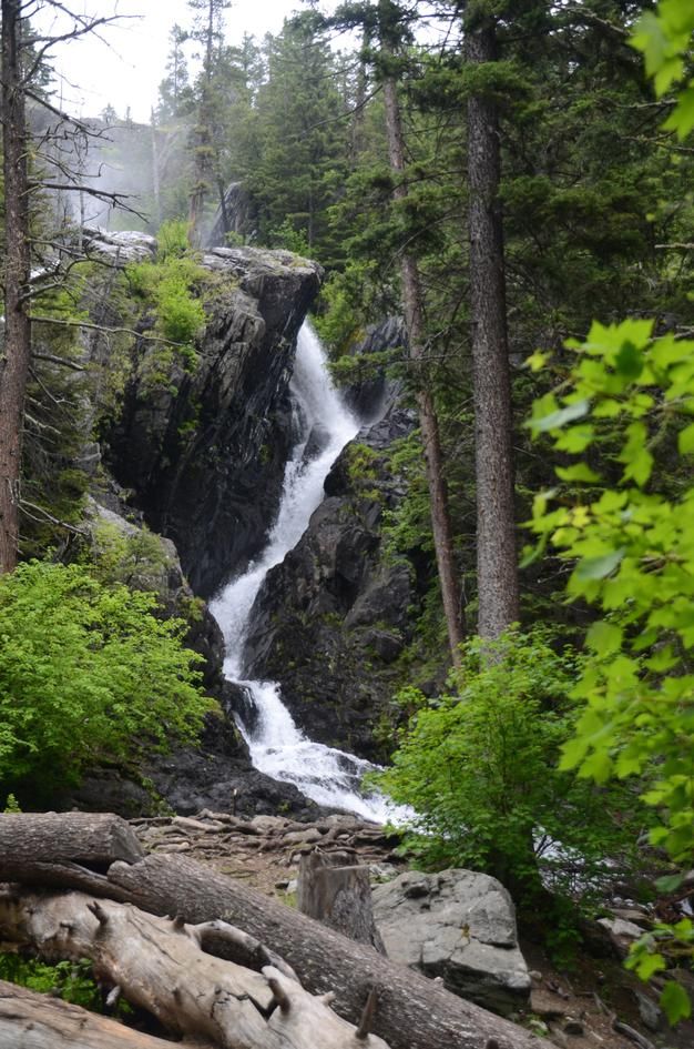 Pine Creek Falls cascading down rocky cliff face through evergreen forest