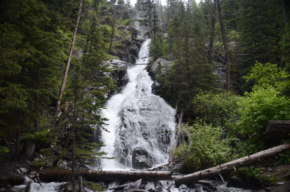 Powerful Pine Creek Falls spreading wide over granite slabs with fallen logs