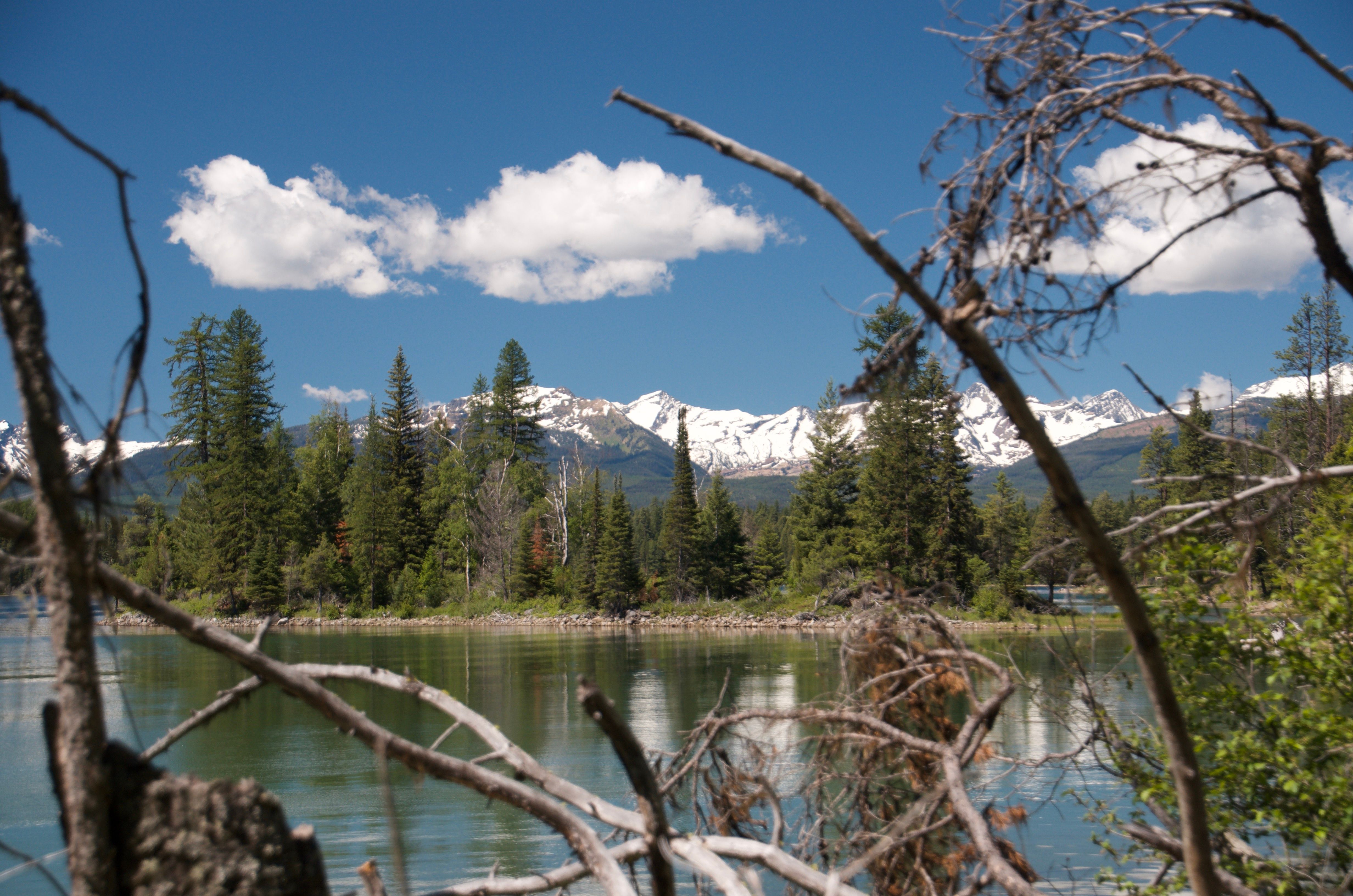 Holland Lake with snow-capped peaks visible through bare branches in the foreground