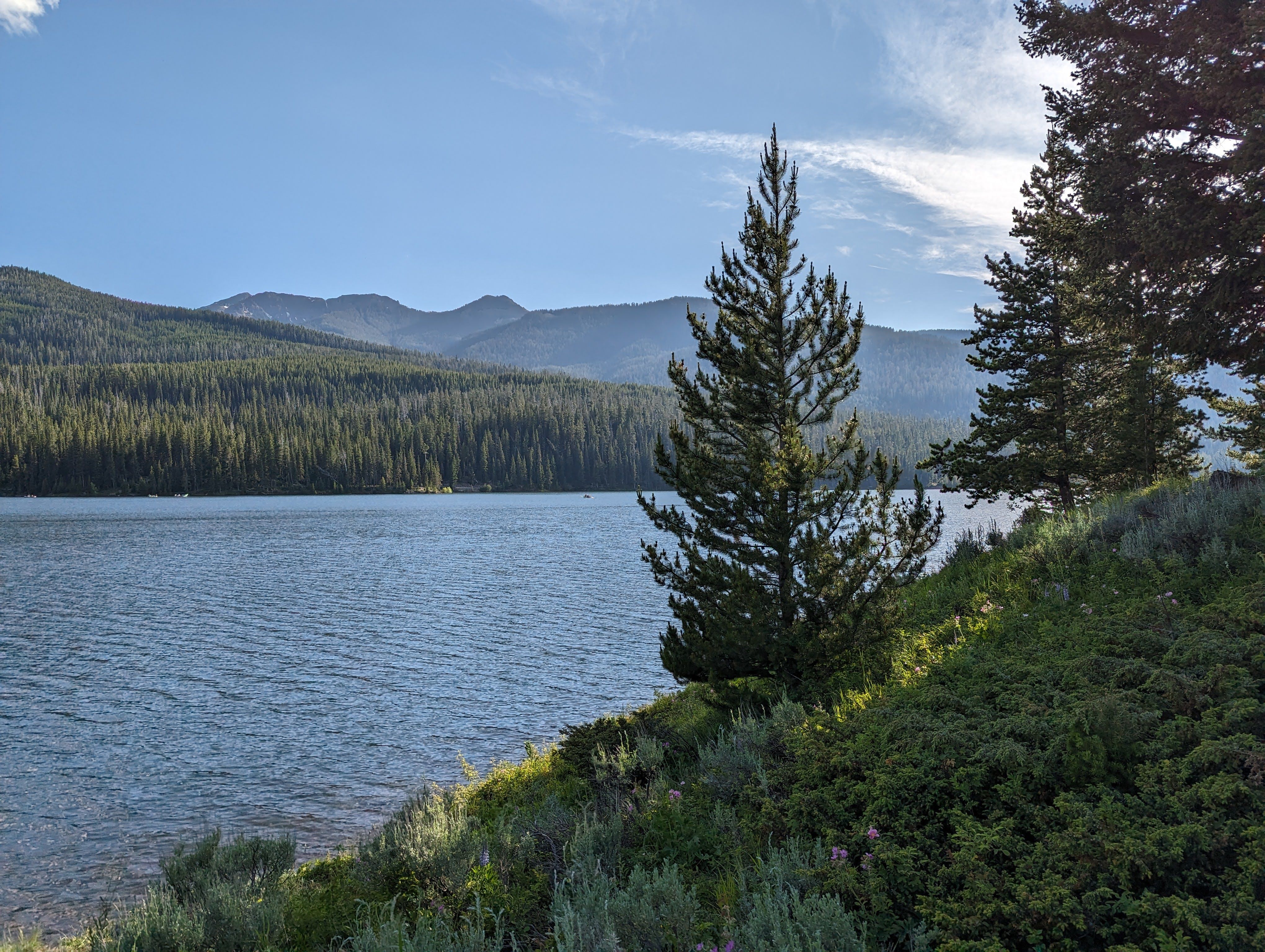 Scenic view of Hyalite Reservoir with pine trees lining the shore
