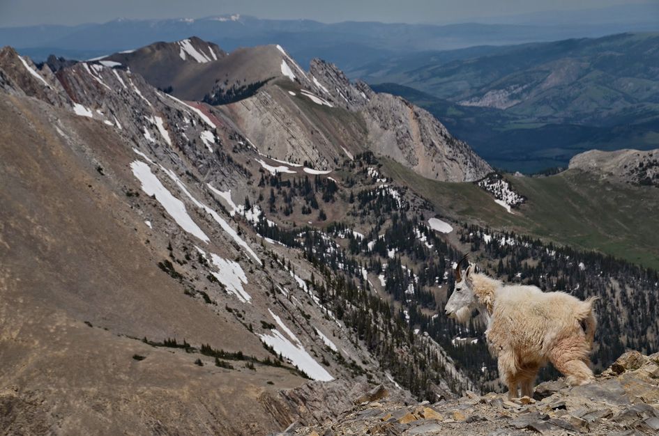 Featured image for Sacagawea Peak hike