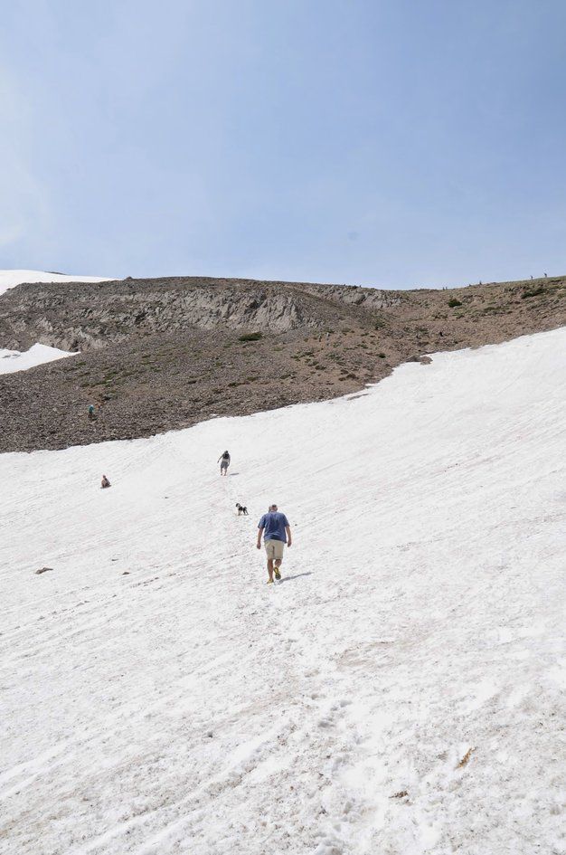 Hikers and dog crossing steep snow field toward rocky summit ridge