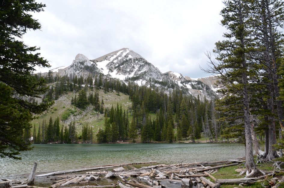 Fairy Lake with turquoise water and driftwood, Sacagawea Peak rising behind