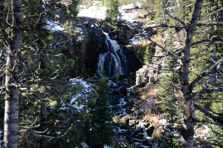 Small waterfall cascading over rocks framed by bare branches and pines