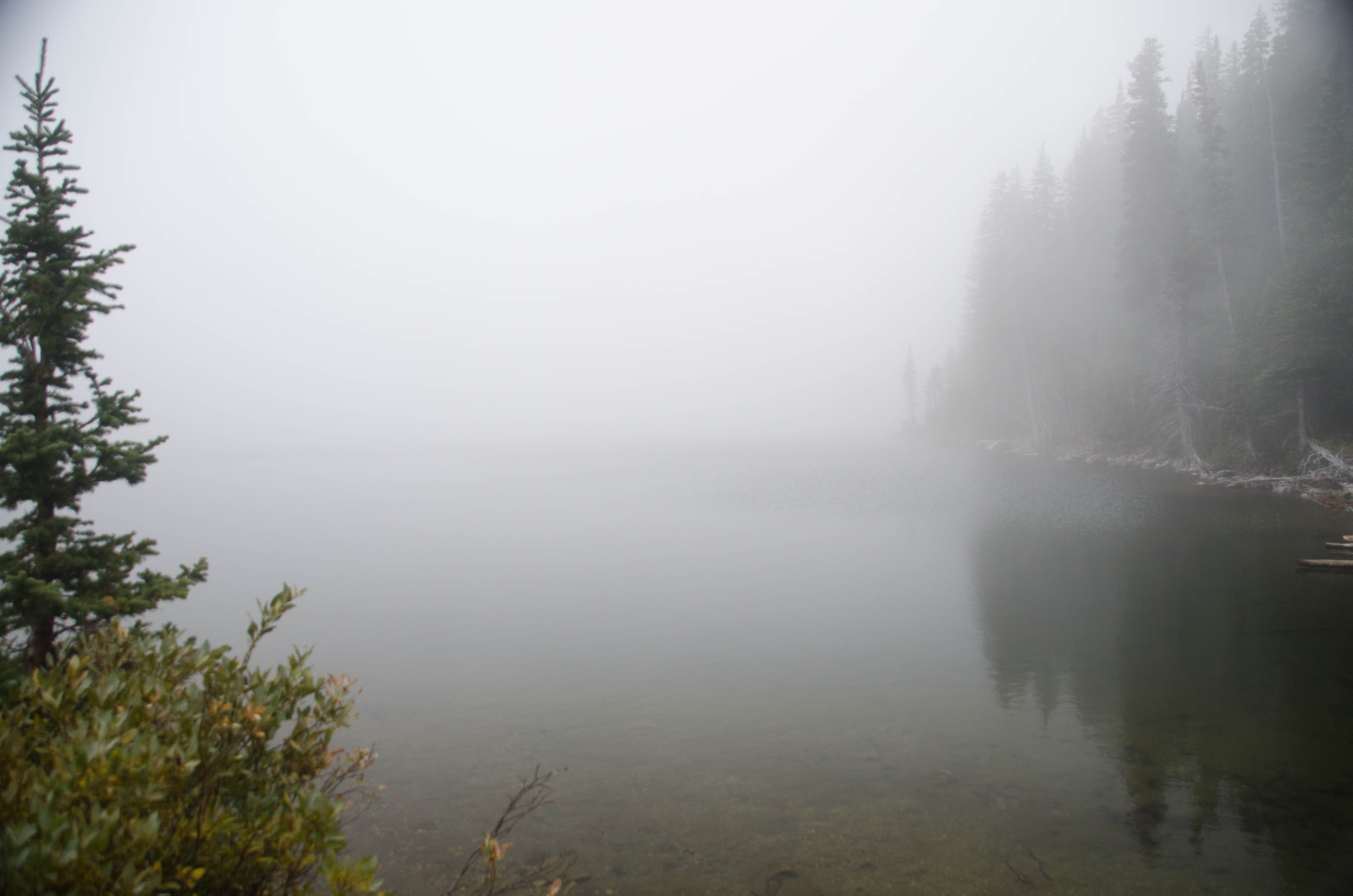 Mirror Lake shoreline shrouded in thick fog with trees barely visible