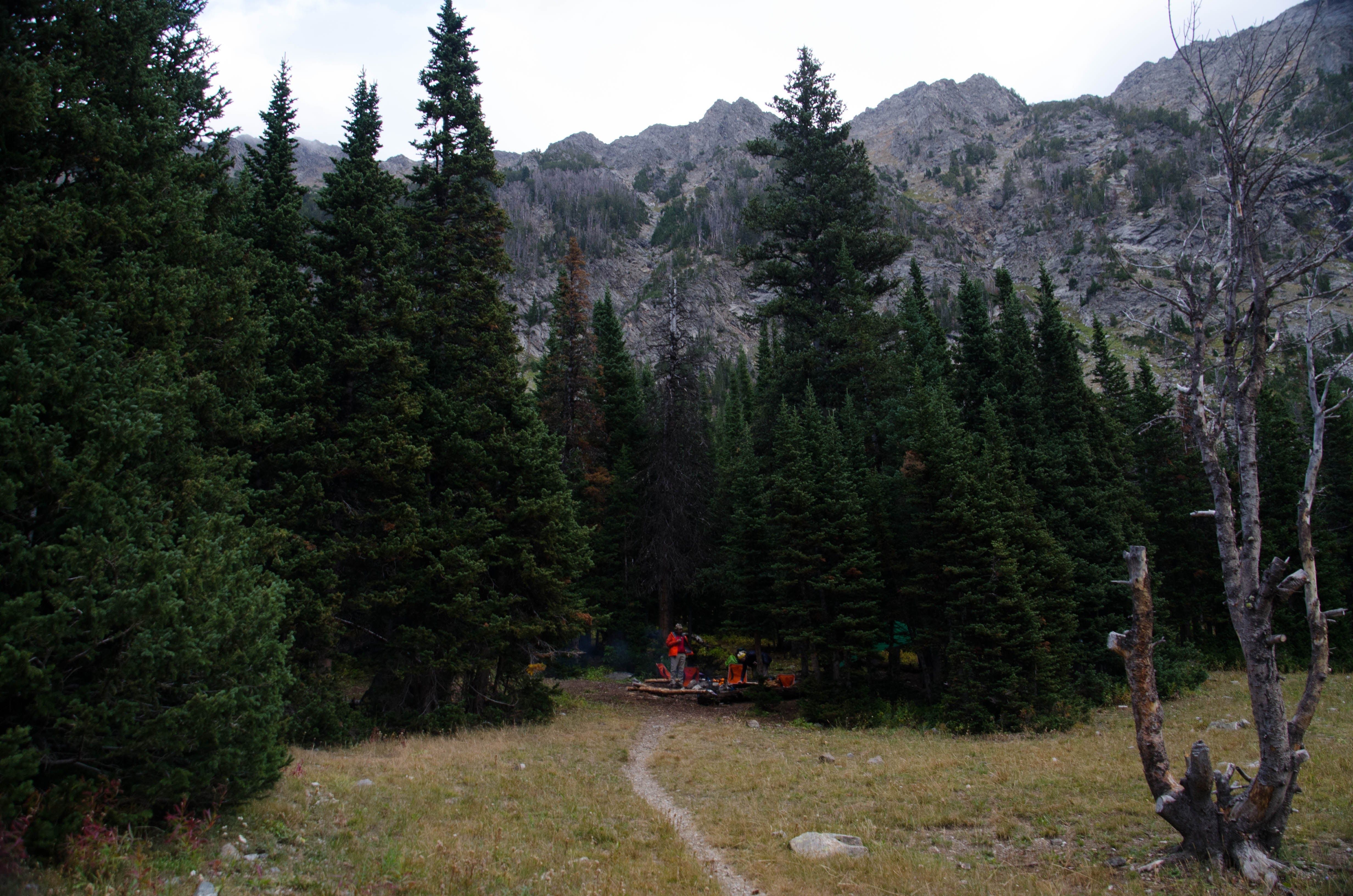 Campsite clearing near Mirror Lake with evergreen trees and rocky peaks