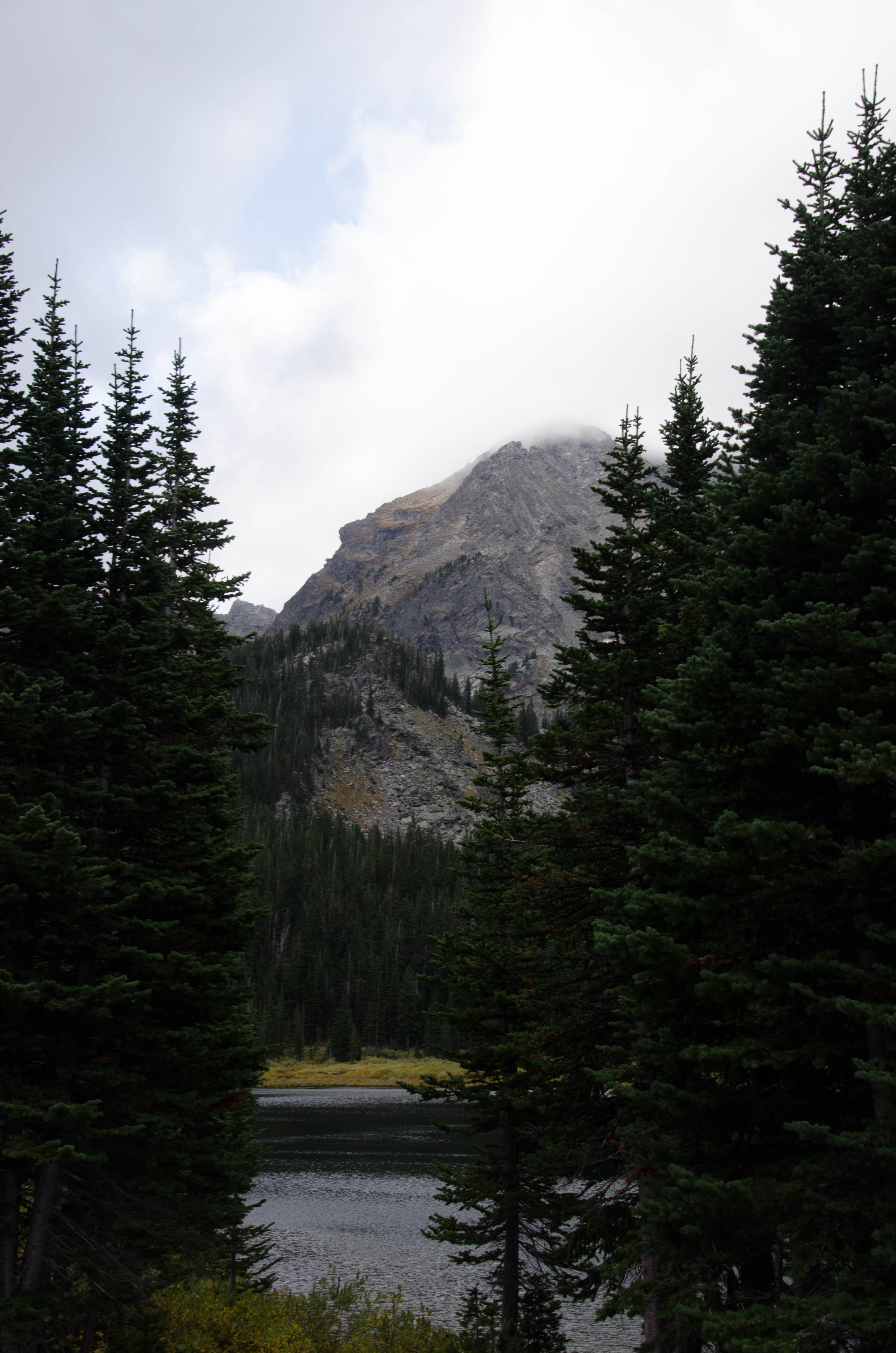 Cloud-wrapped peak framed by tall evergreen trees with Mirror Lake below