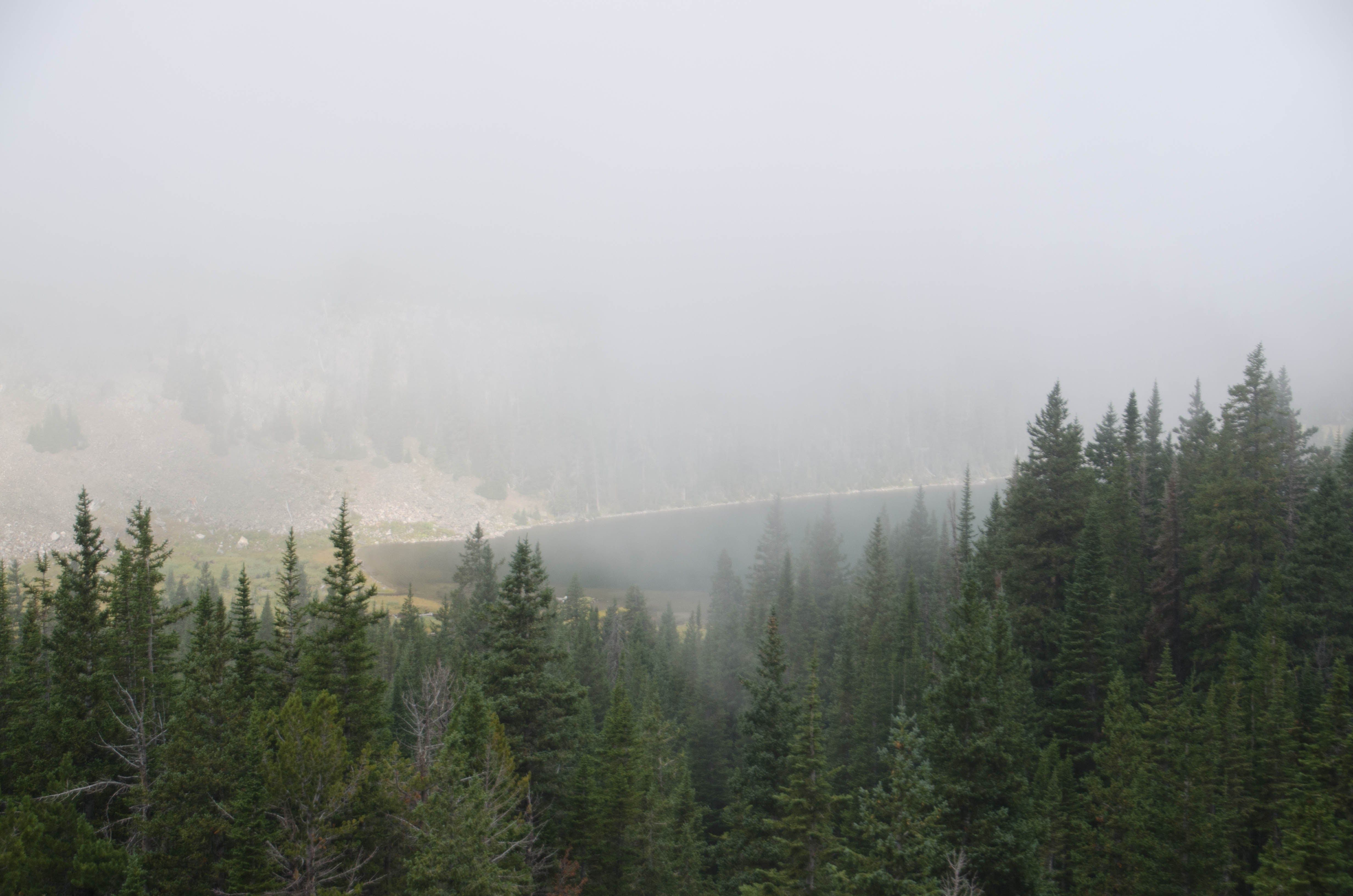 Mirror Lake seen from above through trees with heavy fog over basin