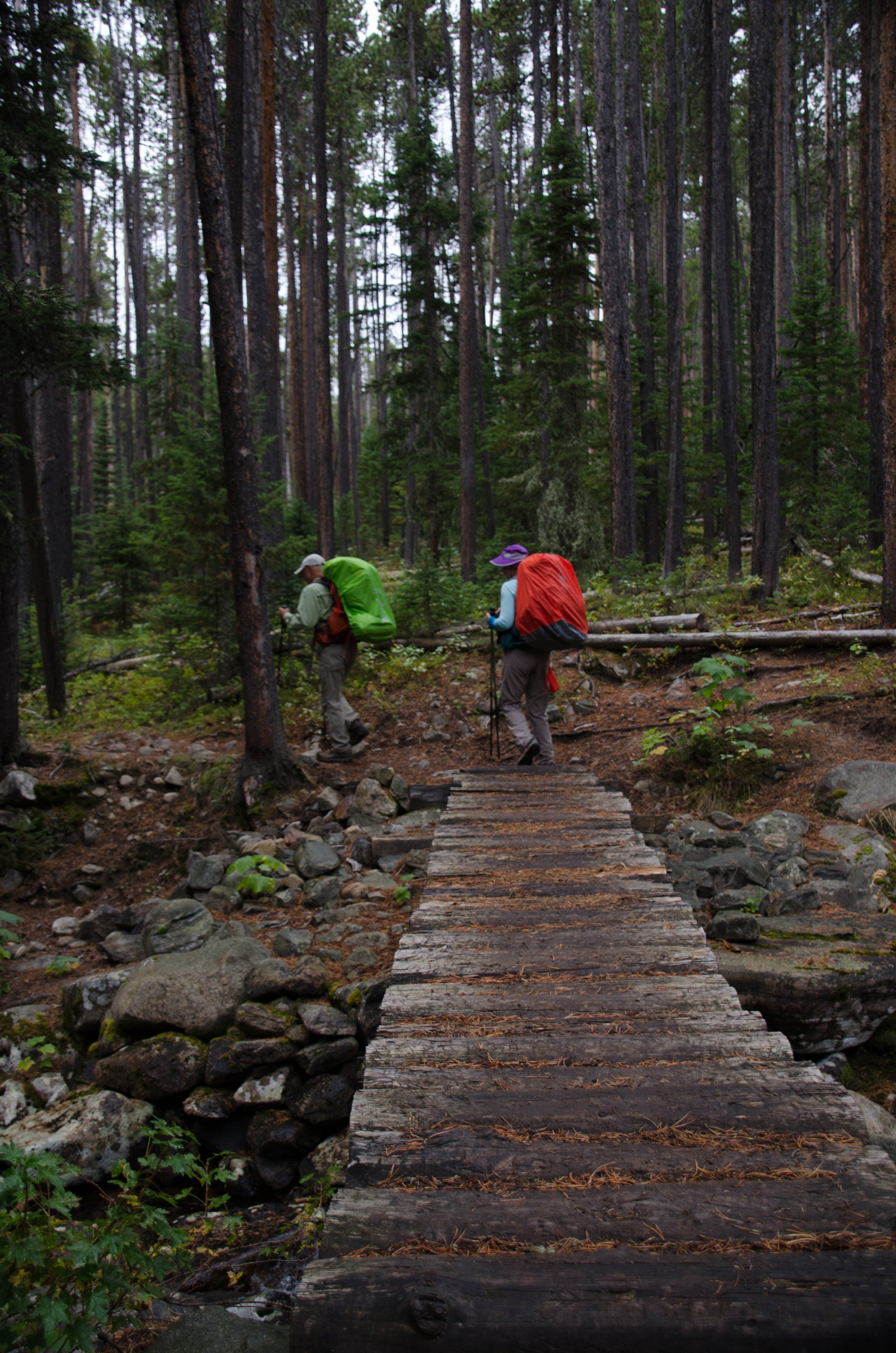 Two backpackers crossing wooden bridge over creek in dense evergreen forest