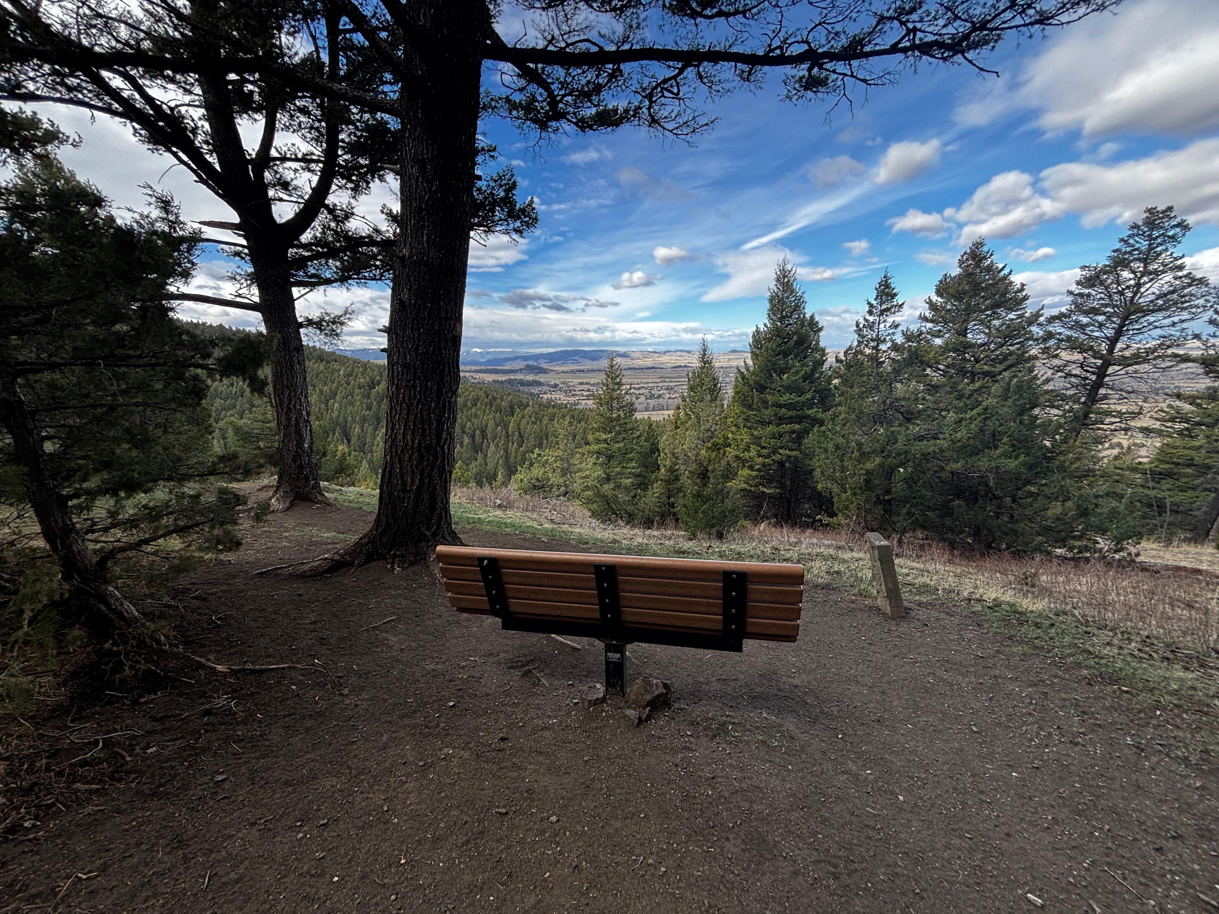 Park bench under pine trees at the Kirk Hill viewpoint overlooking the Gallatin Valley