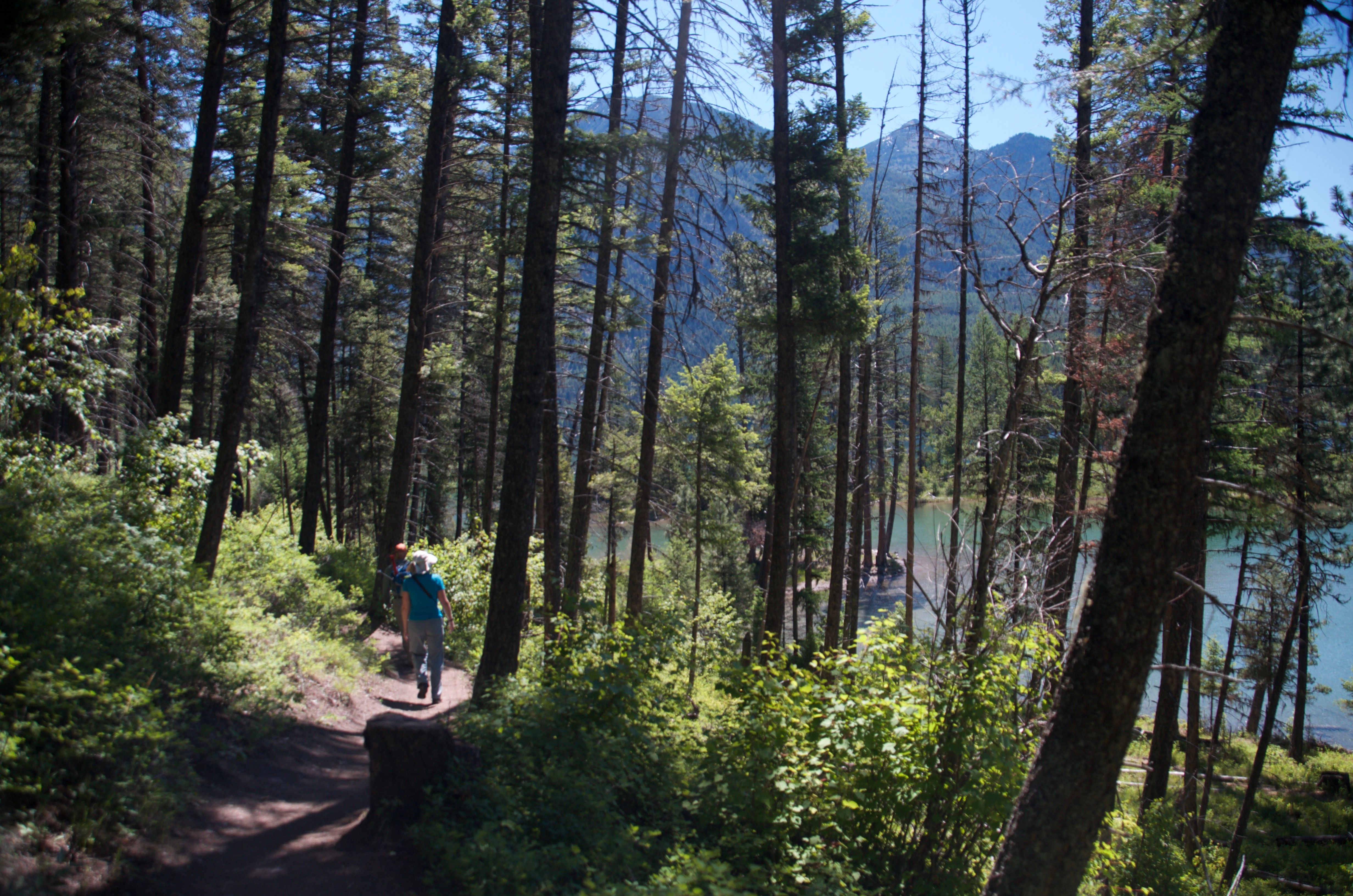 Hikers on a forested trail along the shore of Holland Lake