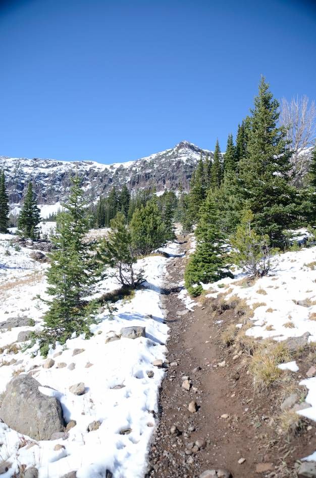 Narrow trail winding through snow-patched alpine meadow toward mountain