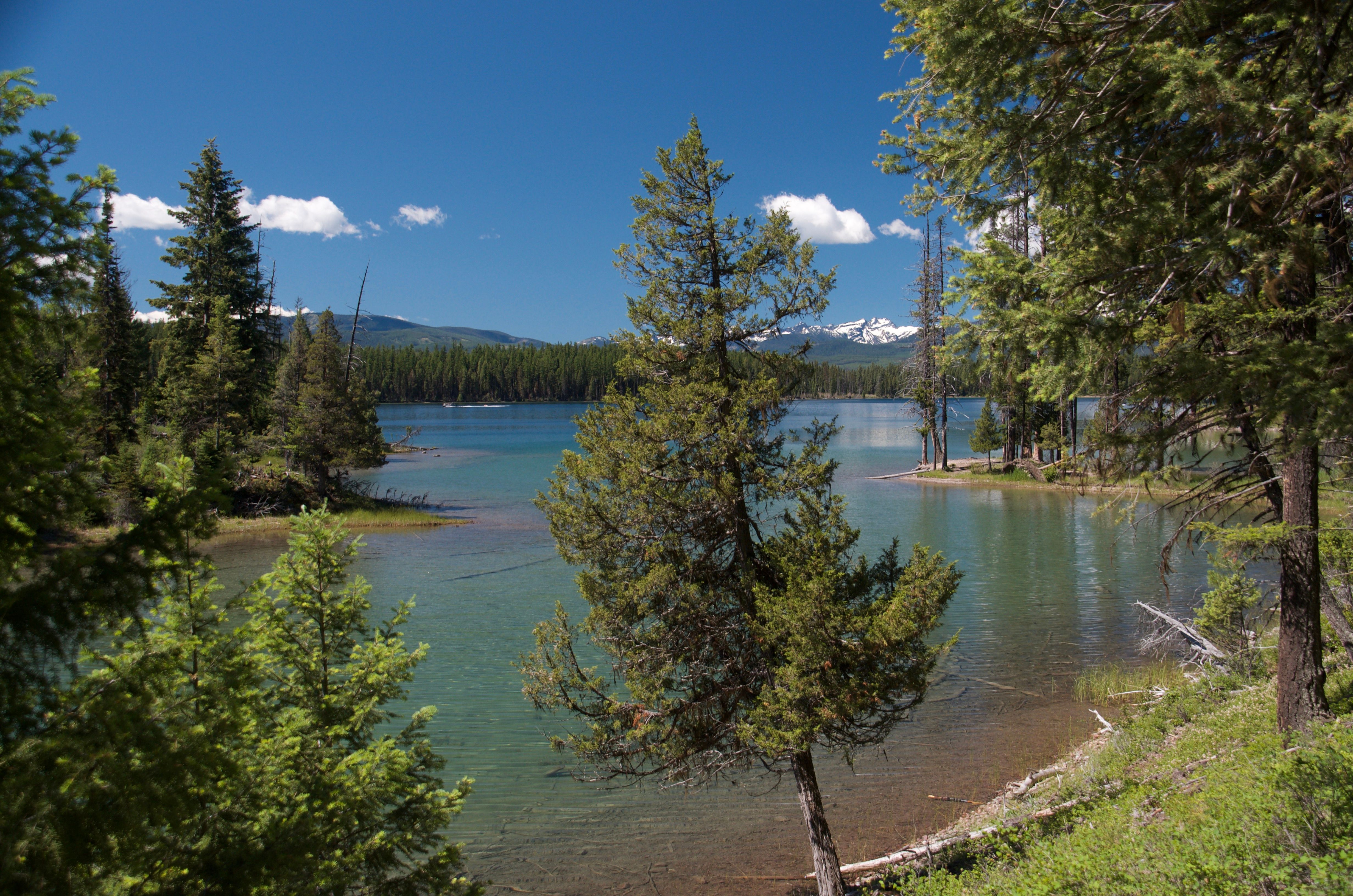Holland Lake cove with green pines and a snow-dusted peak visible above