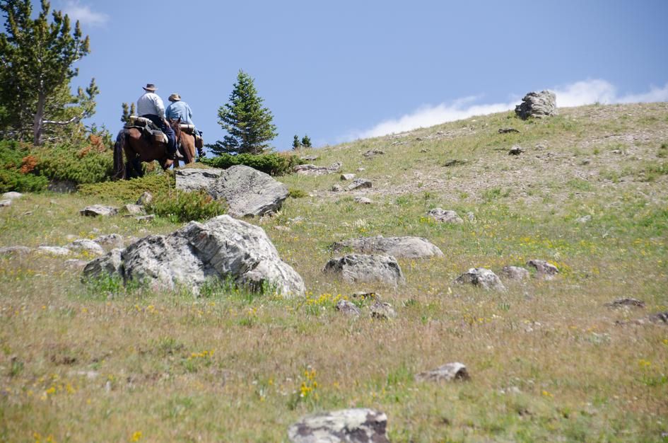 Pack horses and riders crossing rocky alpine meadow with scattered boulders