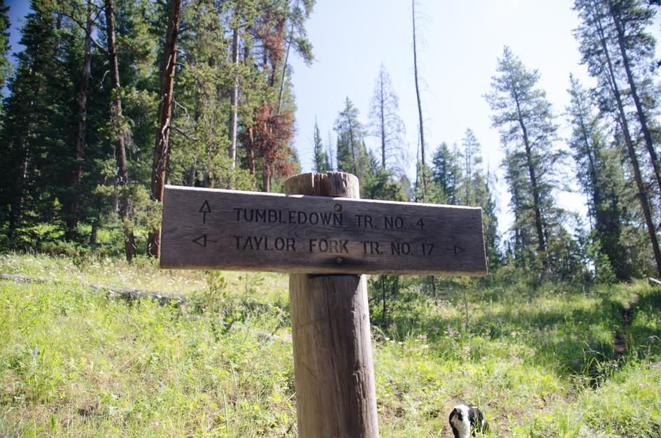 Wooden trail sign showing Tumbledown Trail and Taylor Fork Trail directions