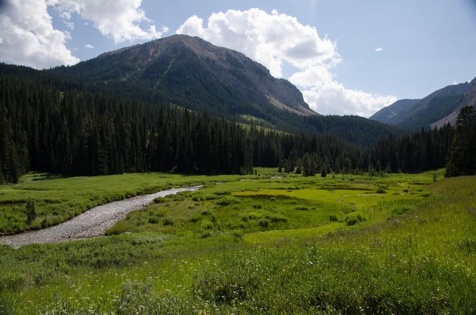 Taylor Fork creek winding through green meadow with forested Madison Range peaks