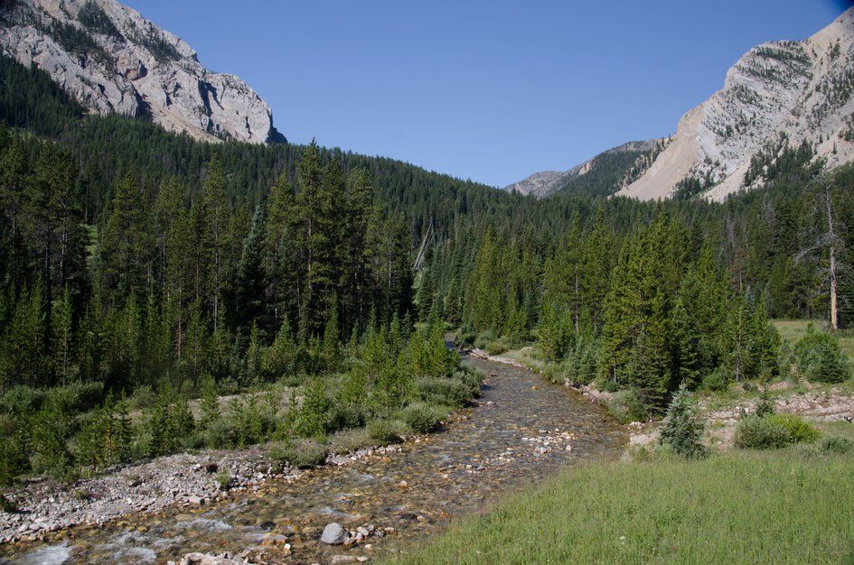 Taylor Fork creek flowing through valley between steep forested mountains