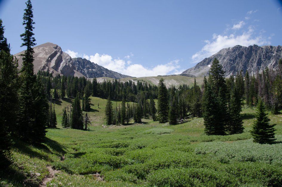Lush alpine meadow surrounded by rugged Madison Range peaks