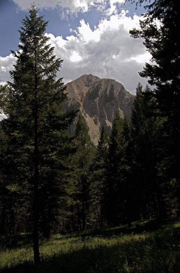 Rocky peak framed by silhouetted evergreen trees with dramatic clouds