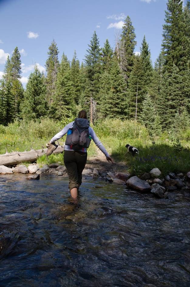 Hiker wading through creek crossing with dog waiting on opposite bank